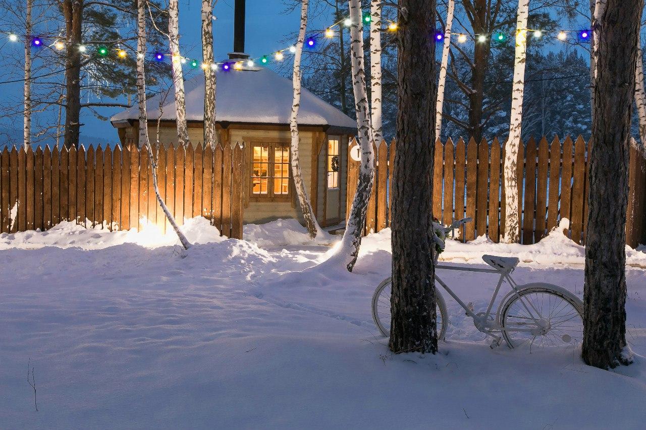 Фото Белая лошадь