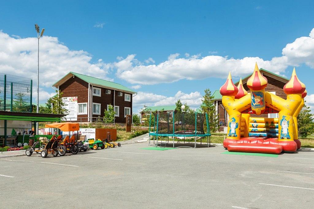 Фото Белая лошадь