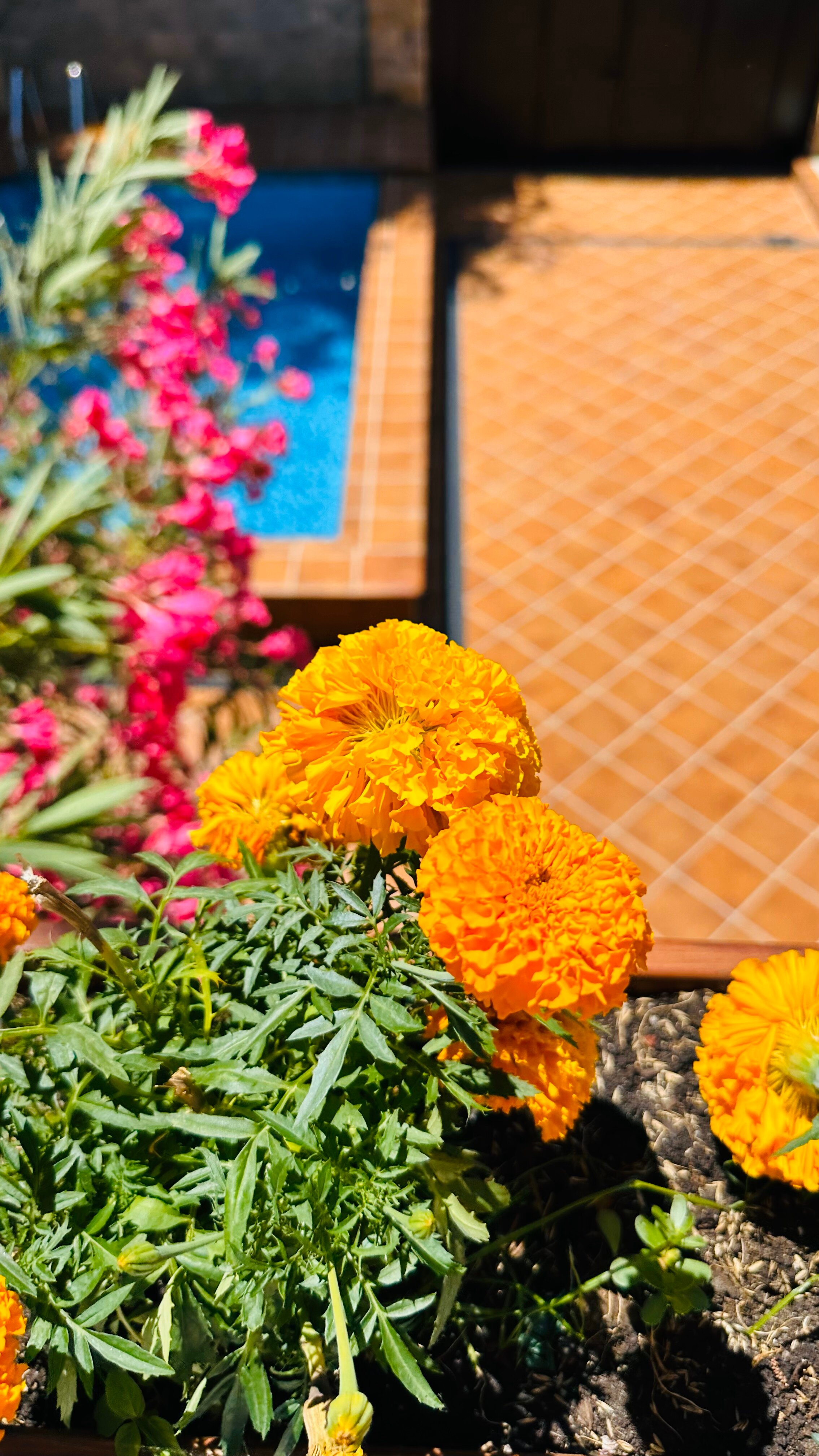 Фото Гостевой дом на Рахманинова