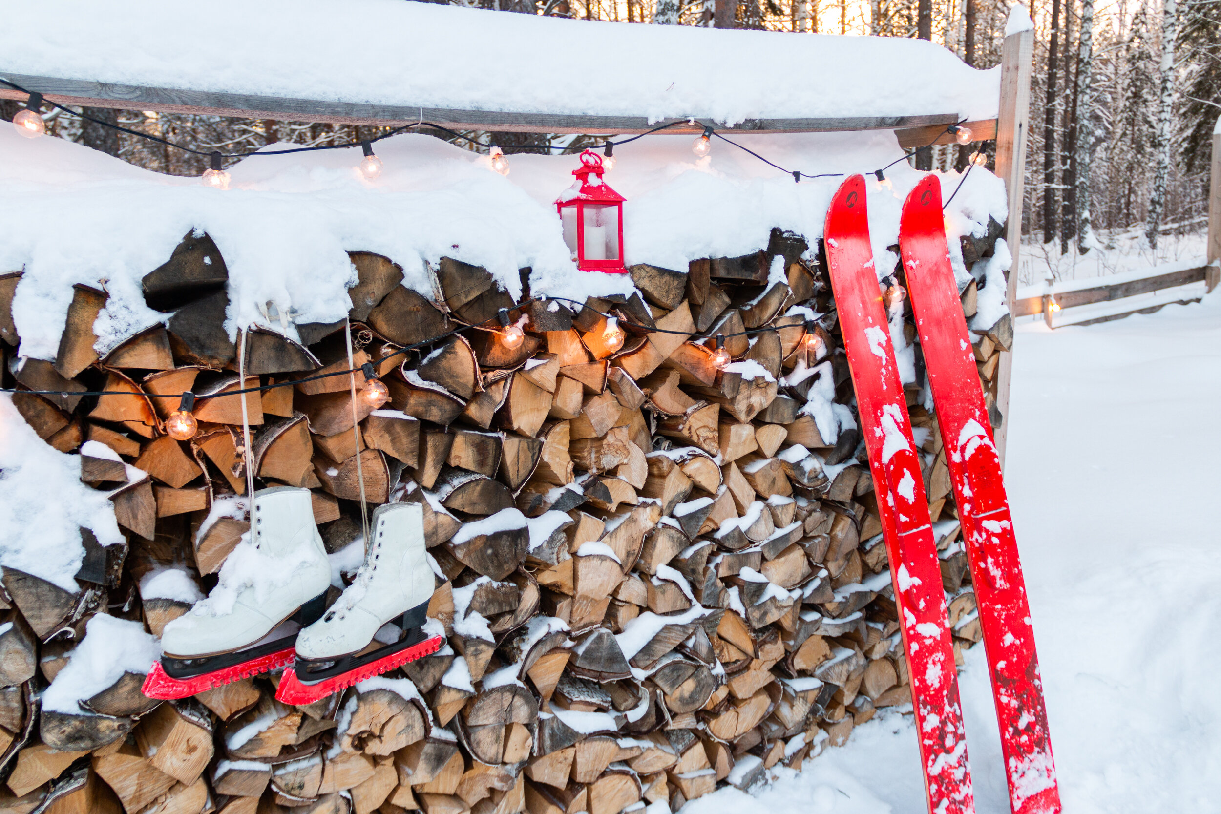 Фото На опушке