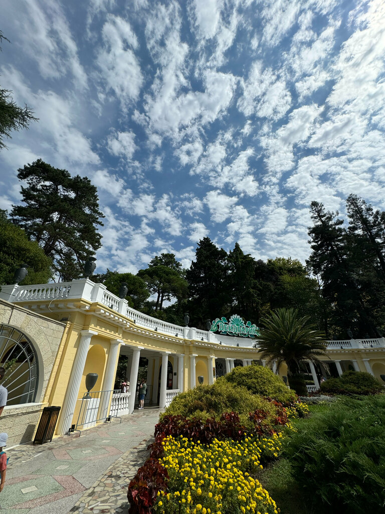 Прочие кассы Дендрологический парк, касса, Краснодарский край, фото