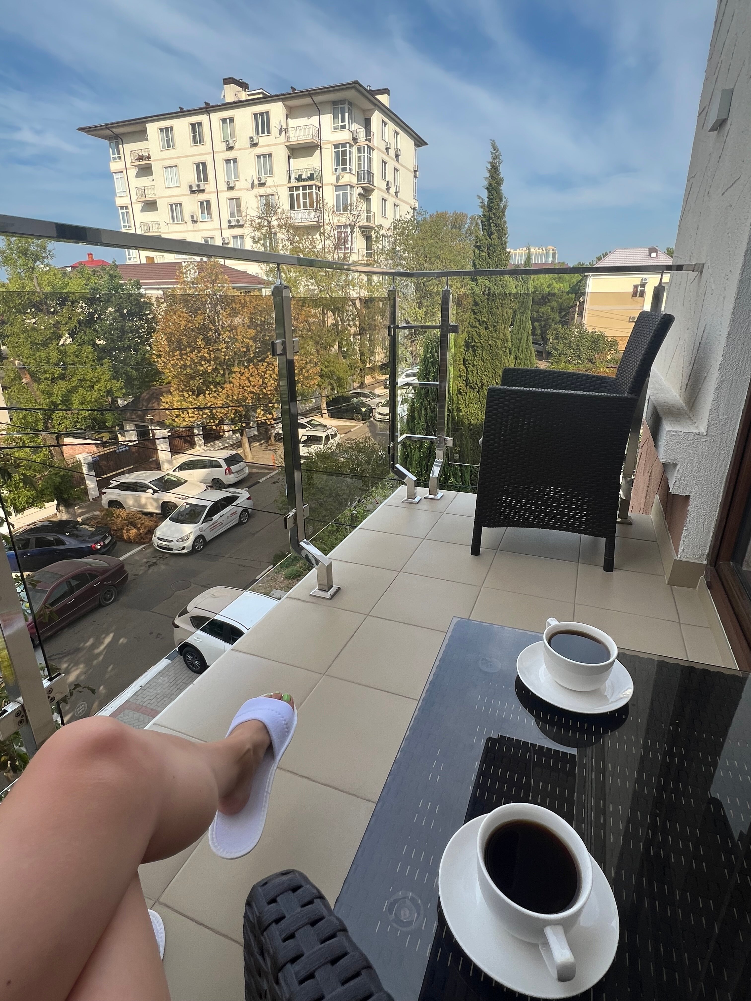 Фото Монарх