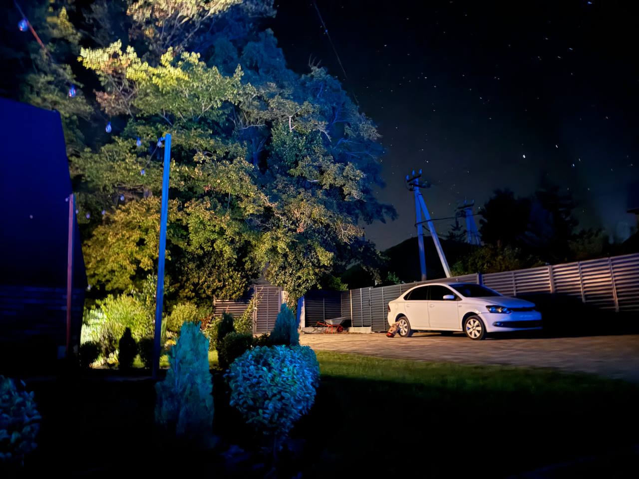 Фото Лимон&Мята