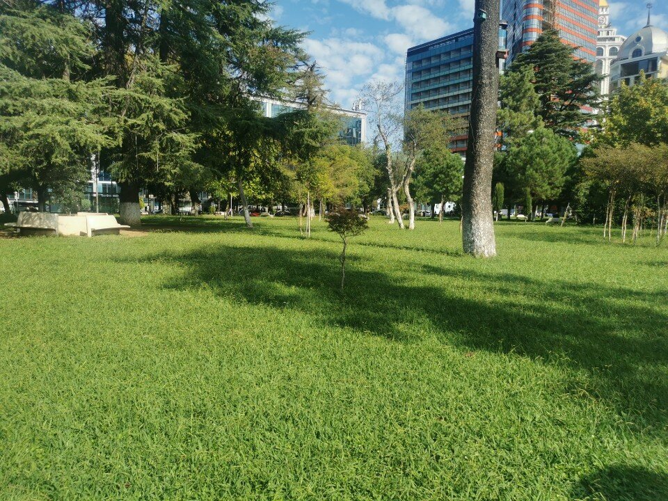 Graphic design studio Red Line, Batumi, photo