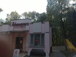 Продукты (Moscow Region, Istra Municipal District, ozdorovitelny kompleks Snegiri), grocery