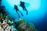 Mavi Keyif Diving & Lifeguard Center (Bursa, Osmangazi, Bağlarbaşı Mah., 2. Karaca Sok., 6), buceo