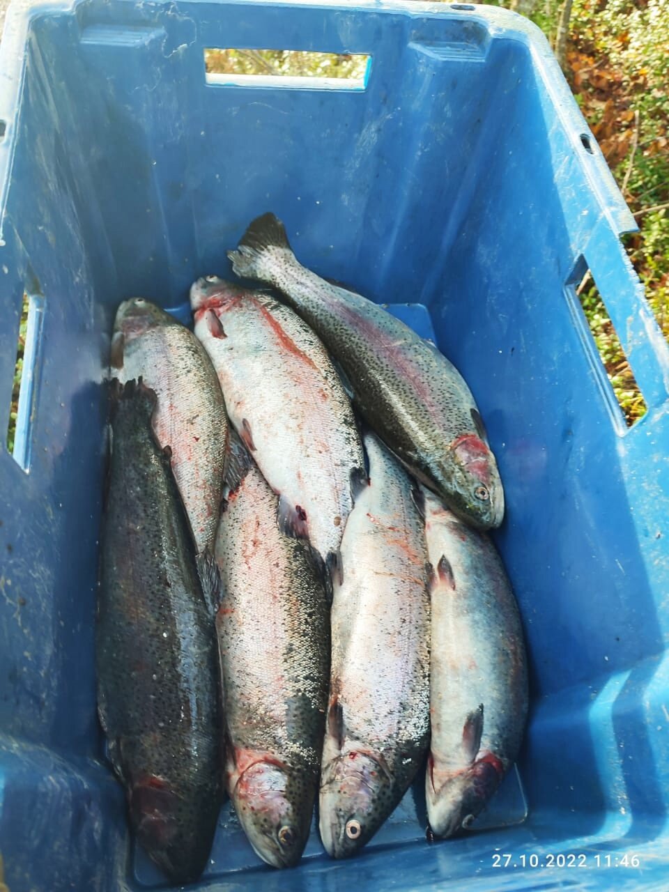 Фото Усадьба Куйто