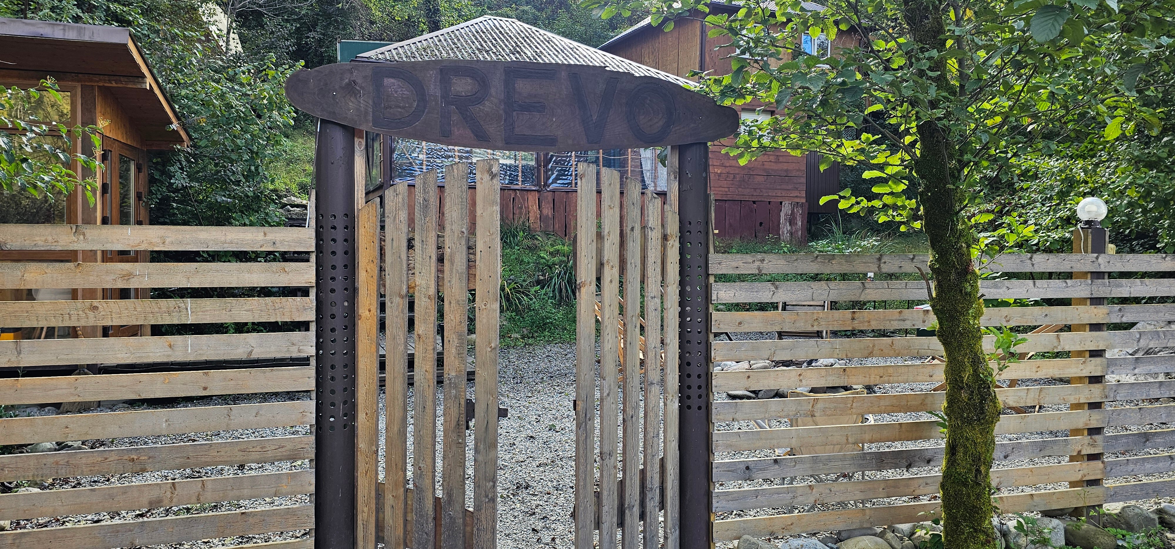 Фото Южный Вайб Древо