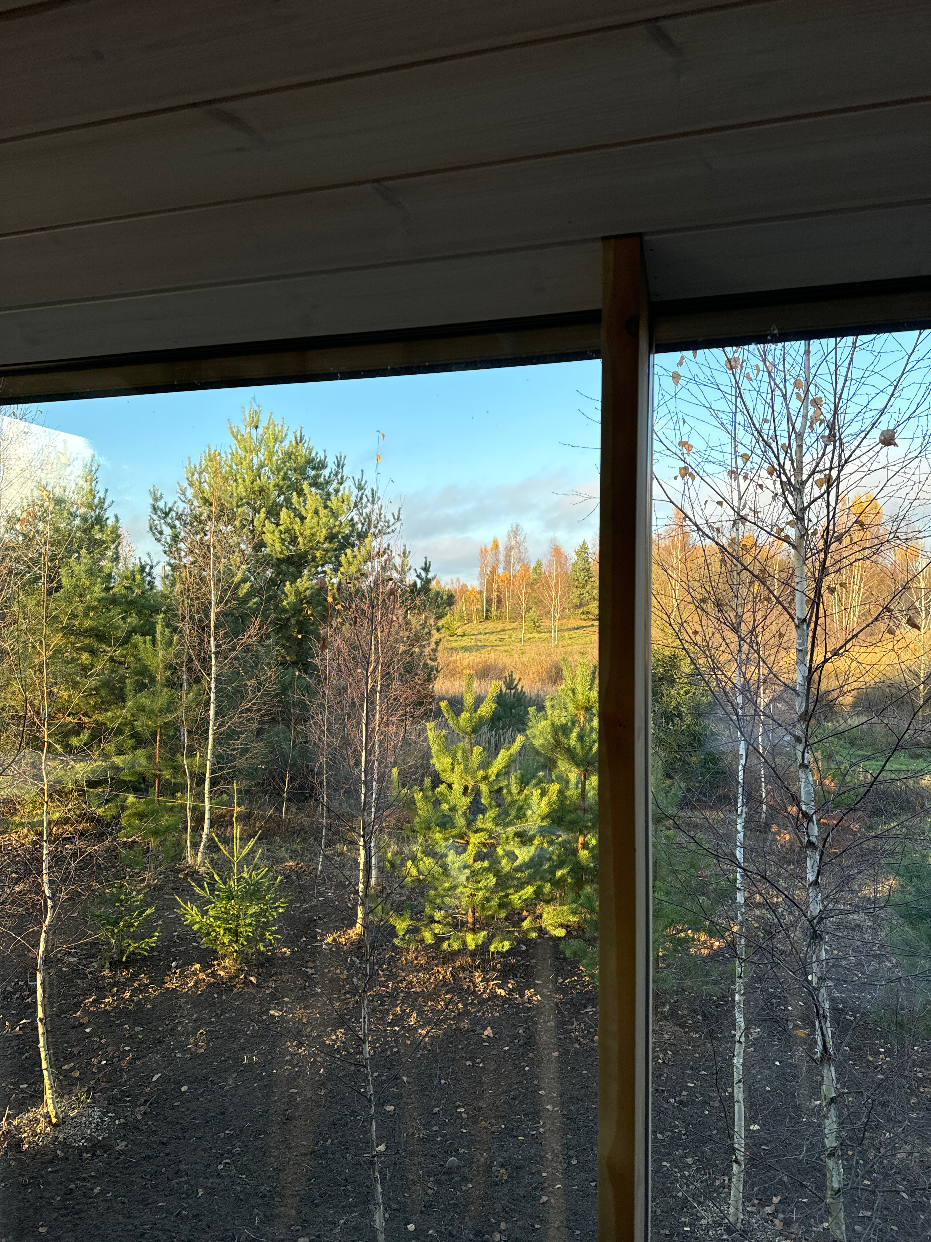 Фото Оазис Завидово