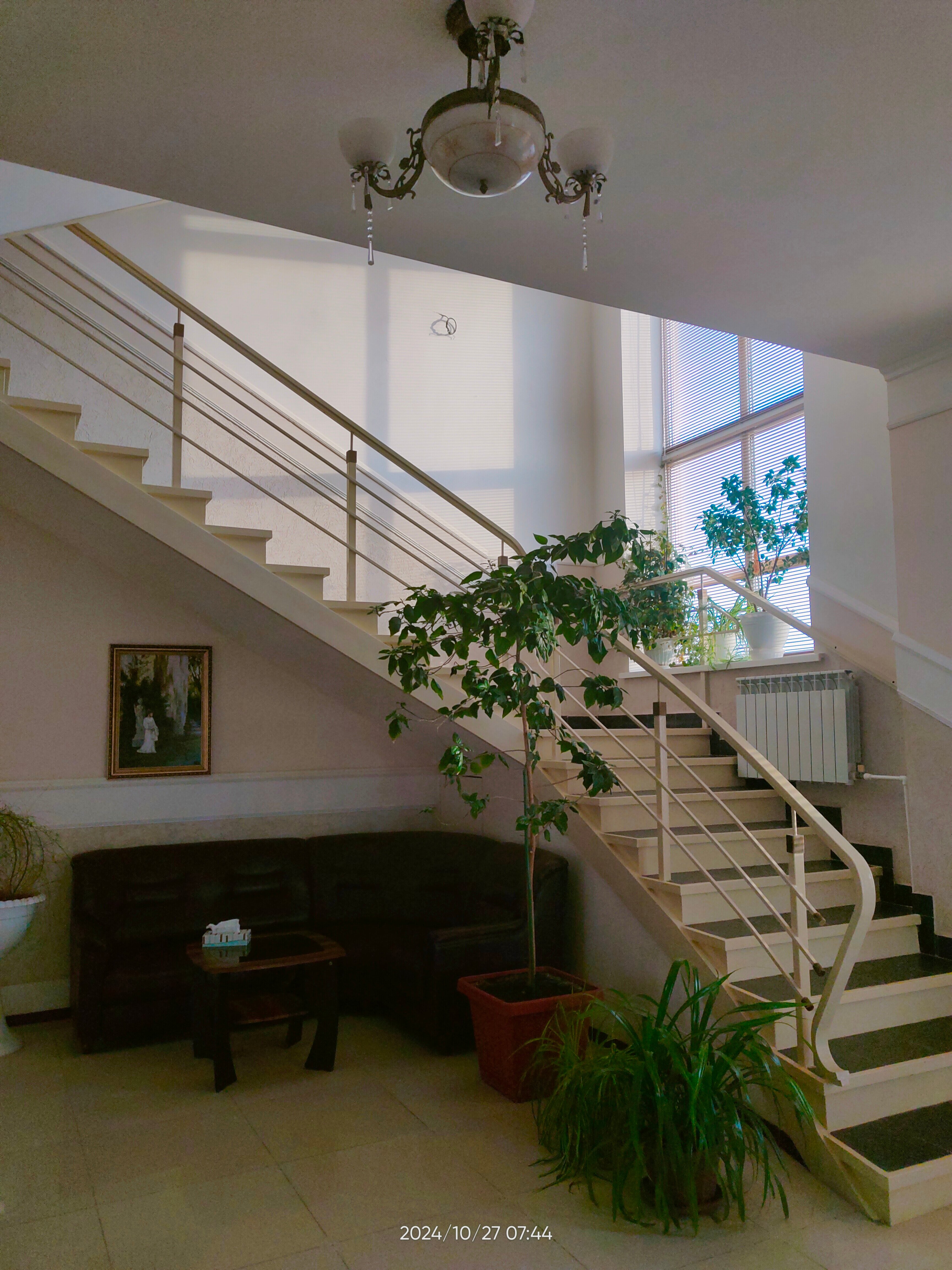 Фото Арт-Александрия