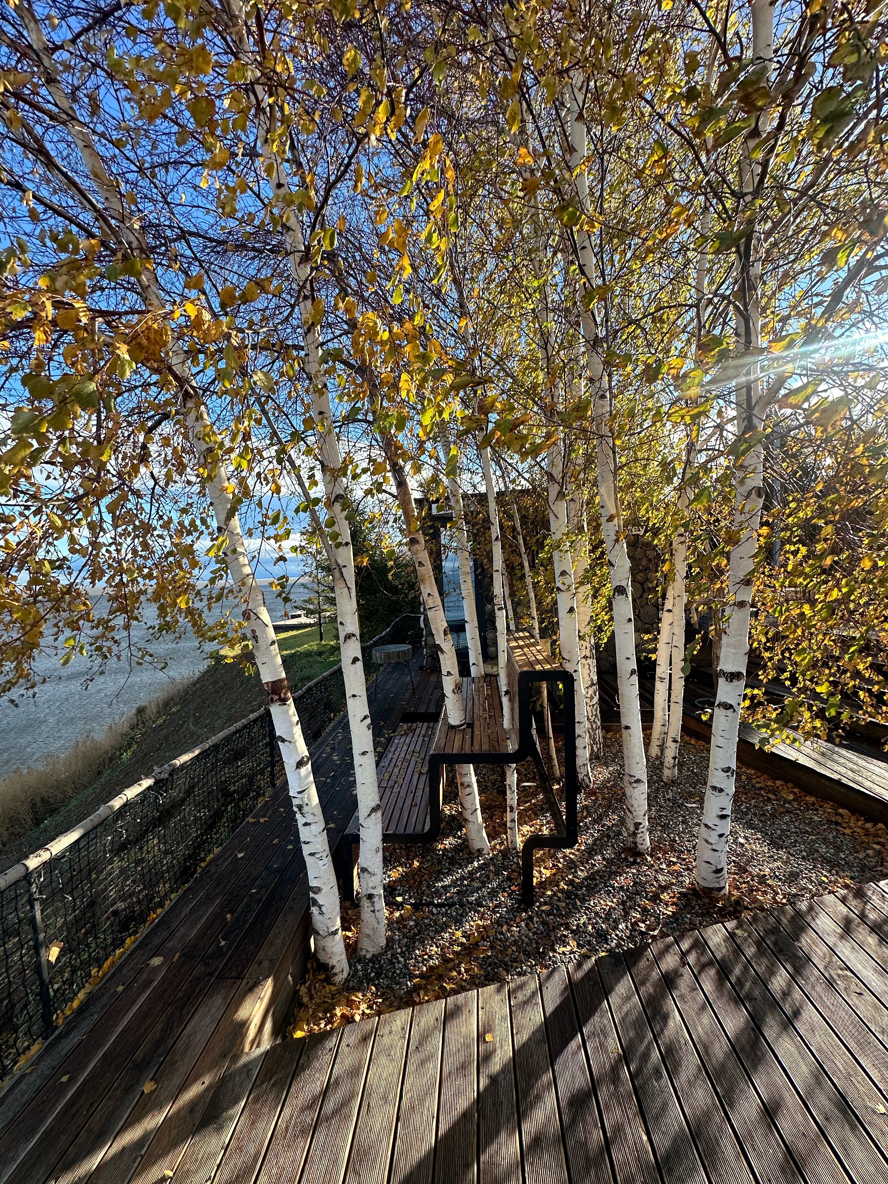 Фото The Камский