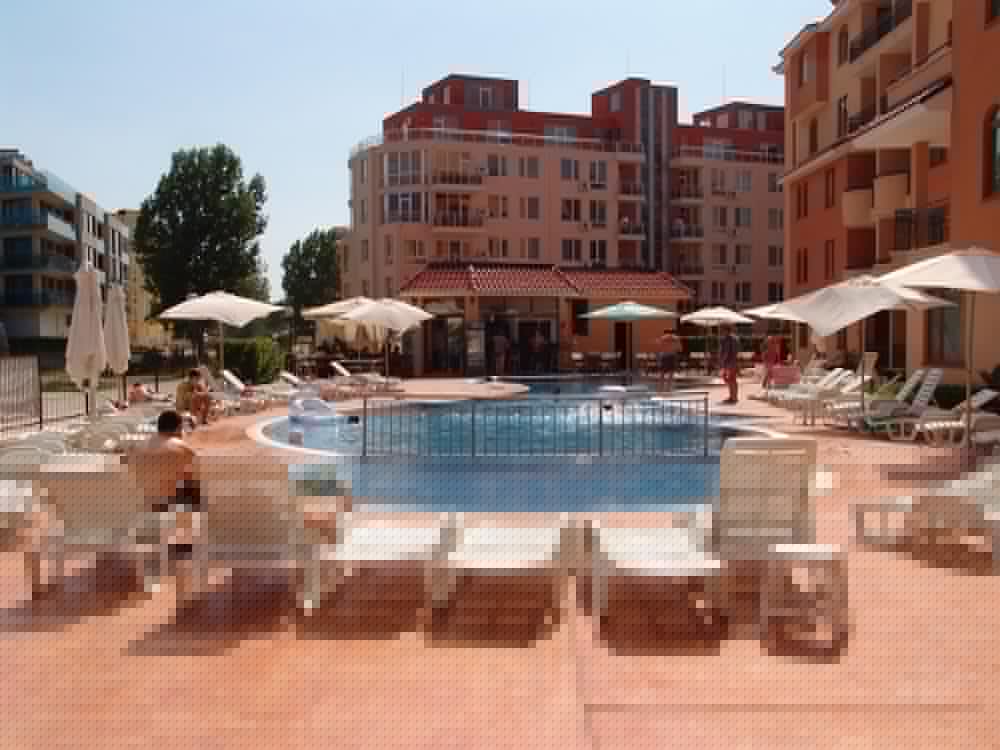 Фото Касандра