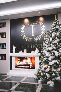 Гостиница Отель Iris