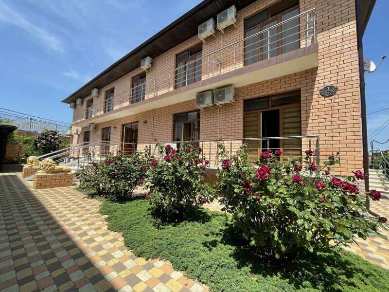 Фото Гиацинт