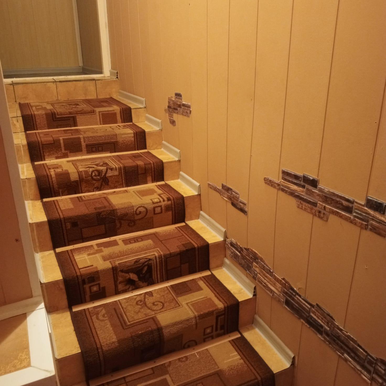 Фото Золотая рыбка