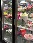 Branderry (Surikova Street, 10А), floristeria