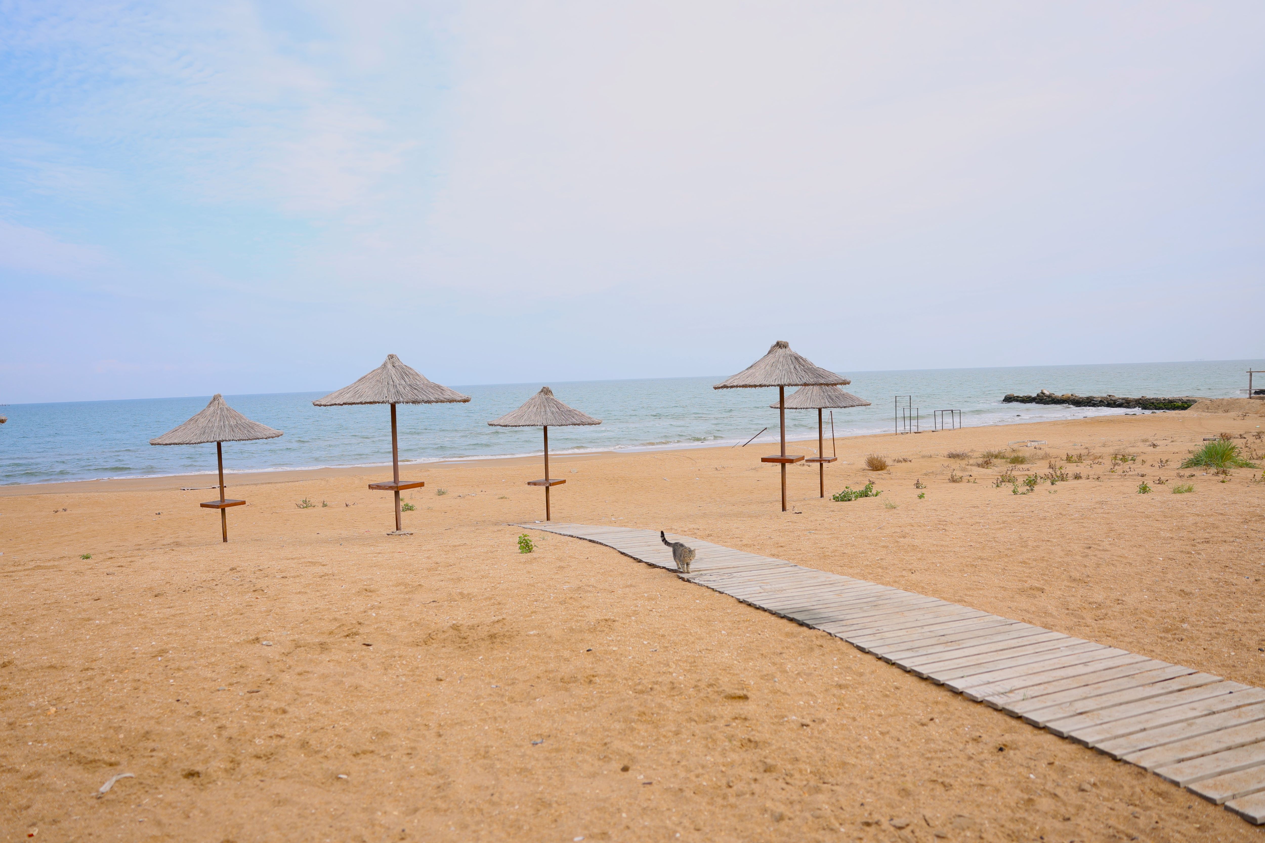 Фото Sun_life 05