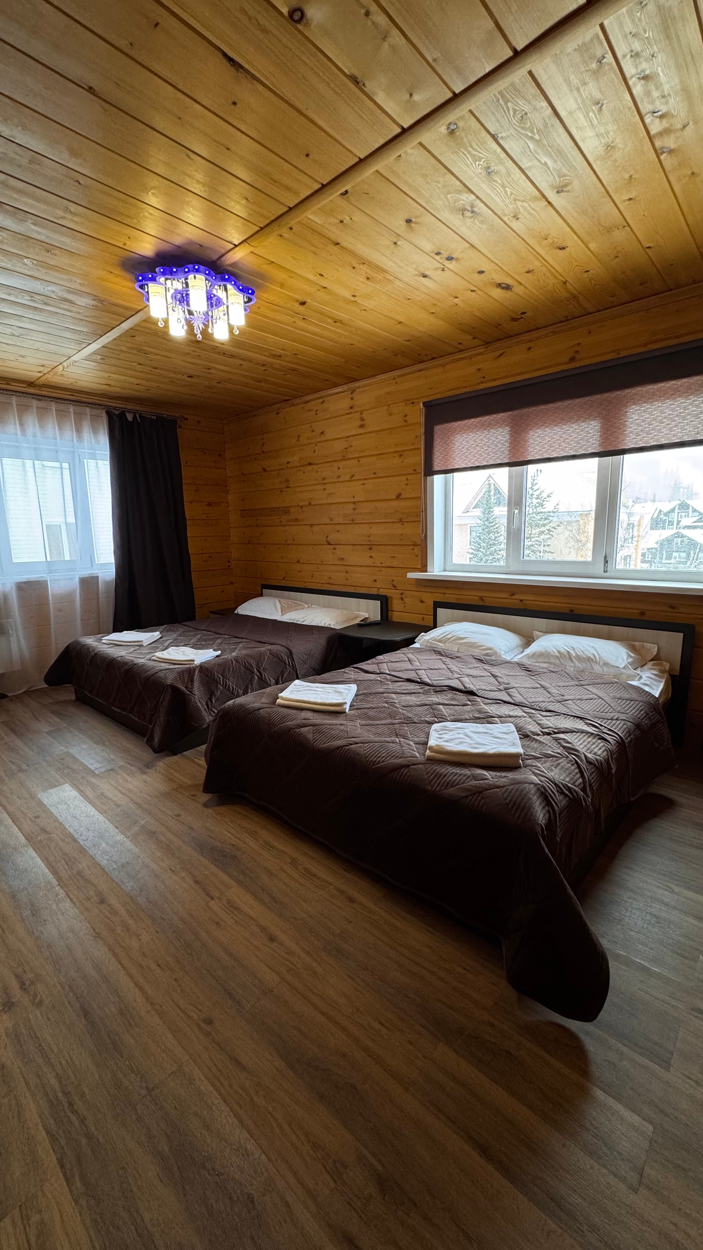 Фото Медведица