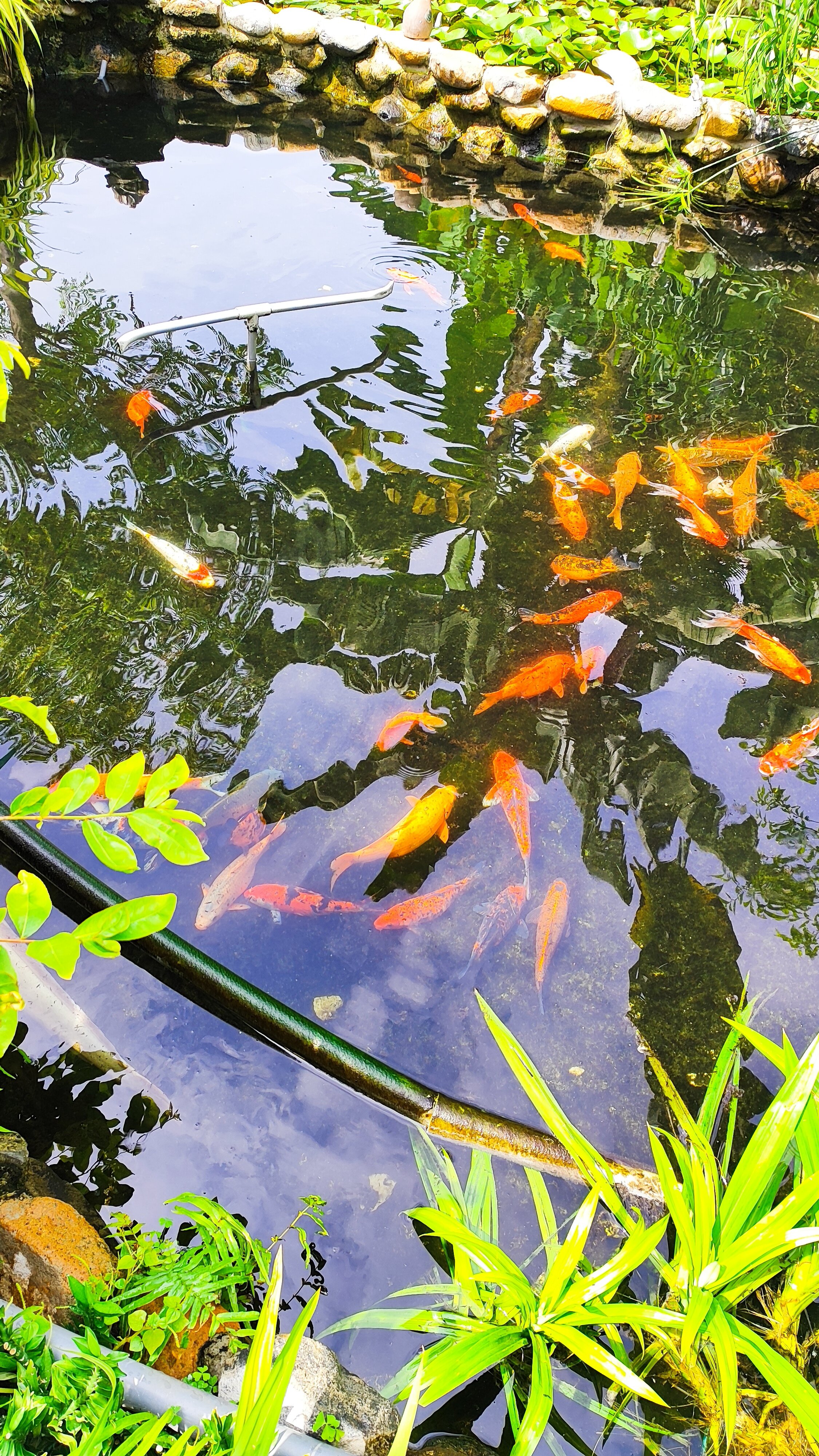 Фото Bao Quynh Bungalow