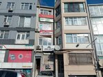 Sina Group (İstanbul, Fatih, Derviş Ali Mah., Yeşilce Direk Sok., 3), diseño y modelado de ropa