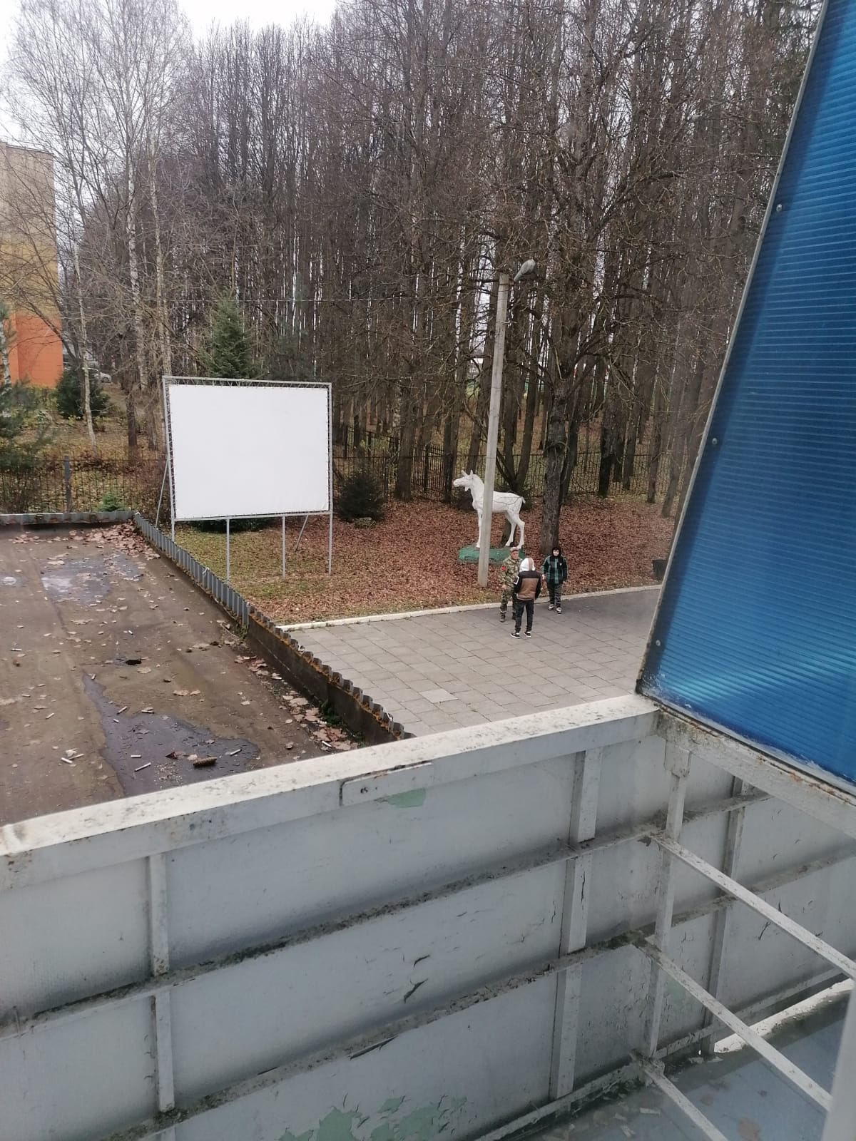 Фото Спортивная