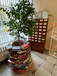 ЦБС Калининского района, Библиотека-филиал № 2 (Kondratyevskiy Avenue, 51к1), library