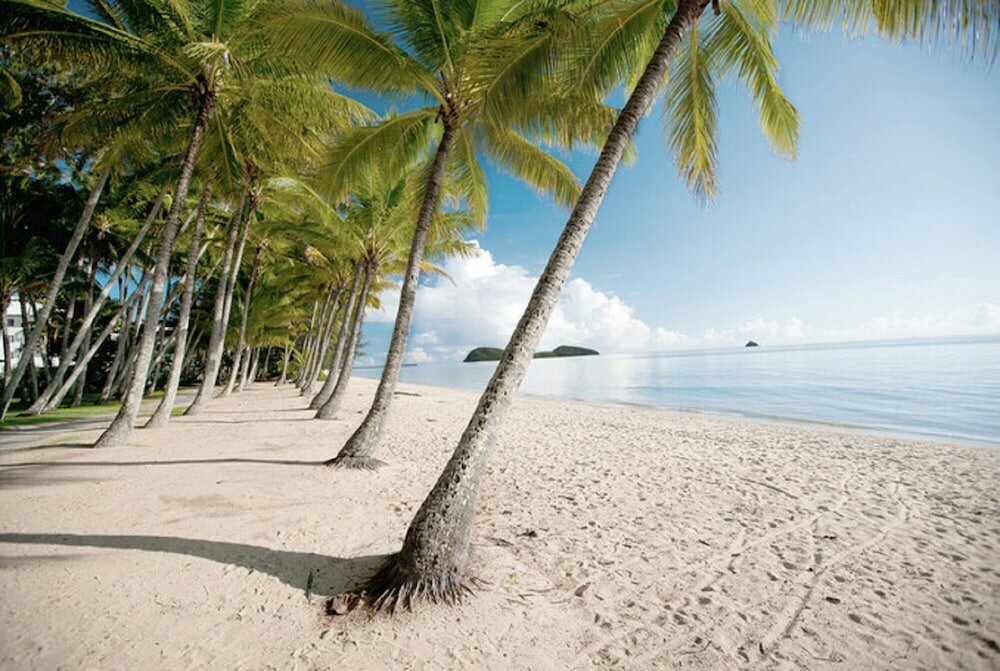 Фото Pullman Palm Cove Sea Temple Resort and SPA