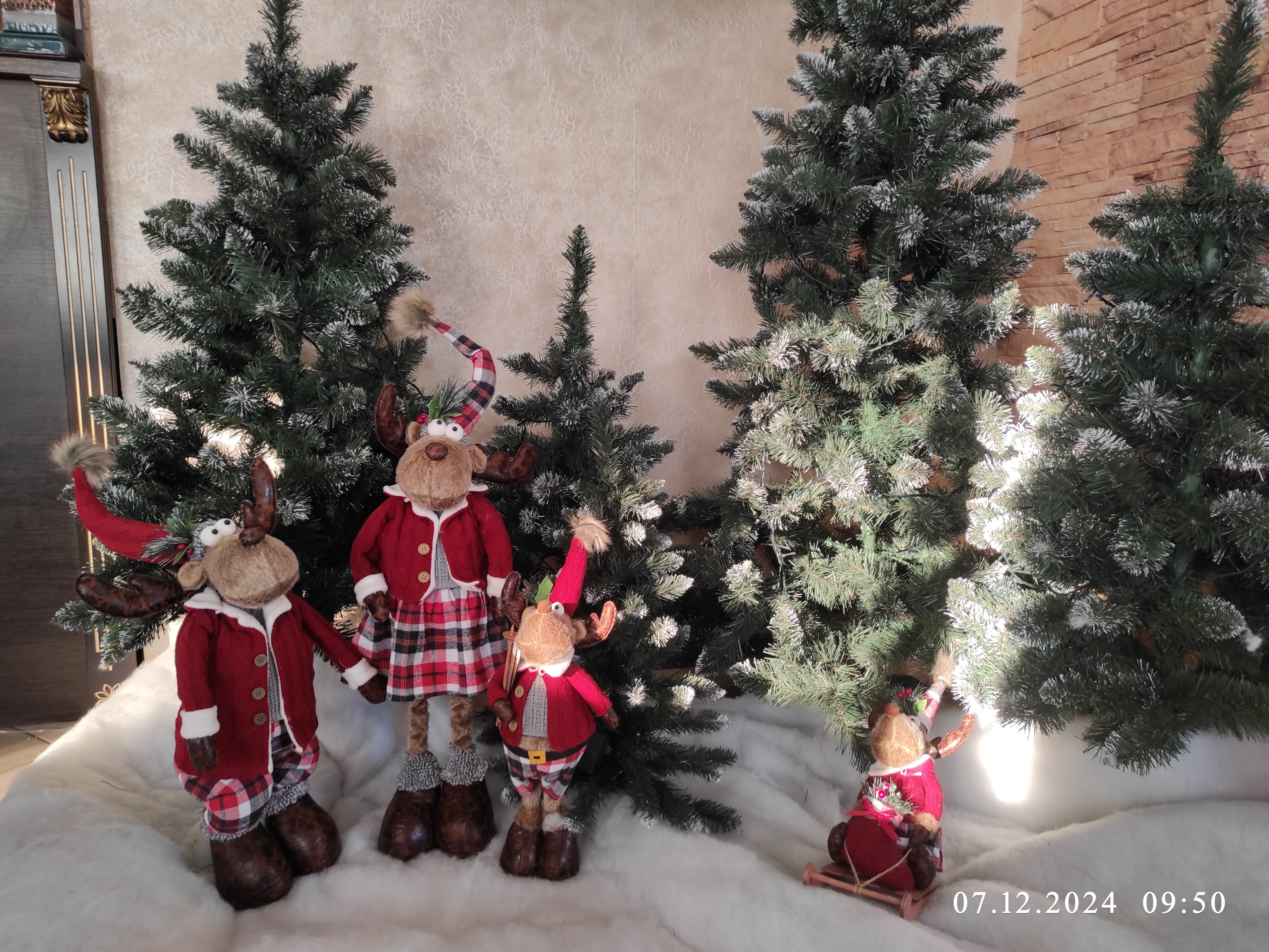 Фото Голден Стар