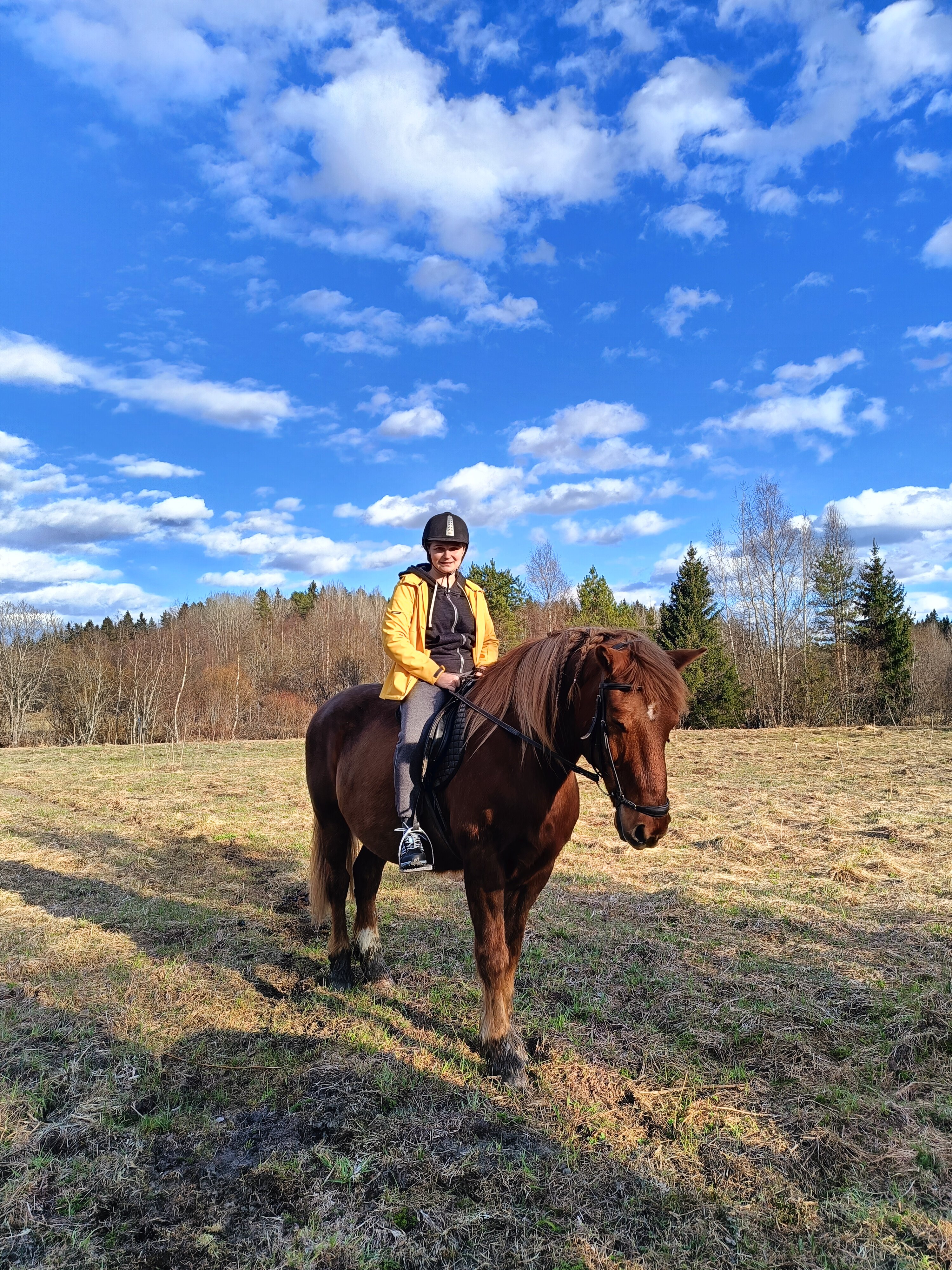 Фото Конюшенный двор