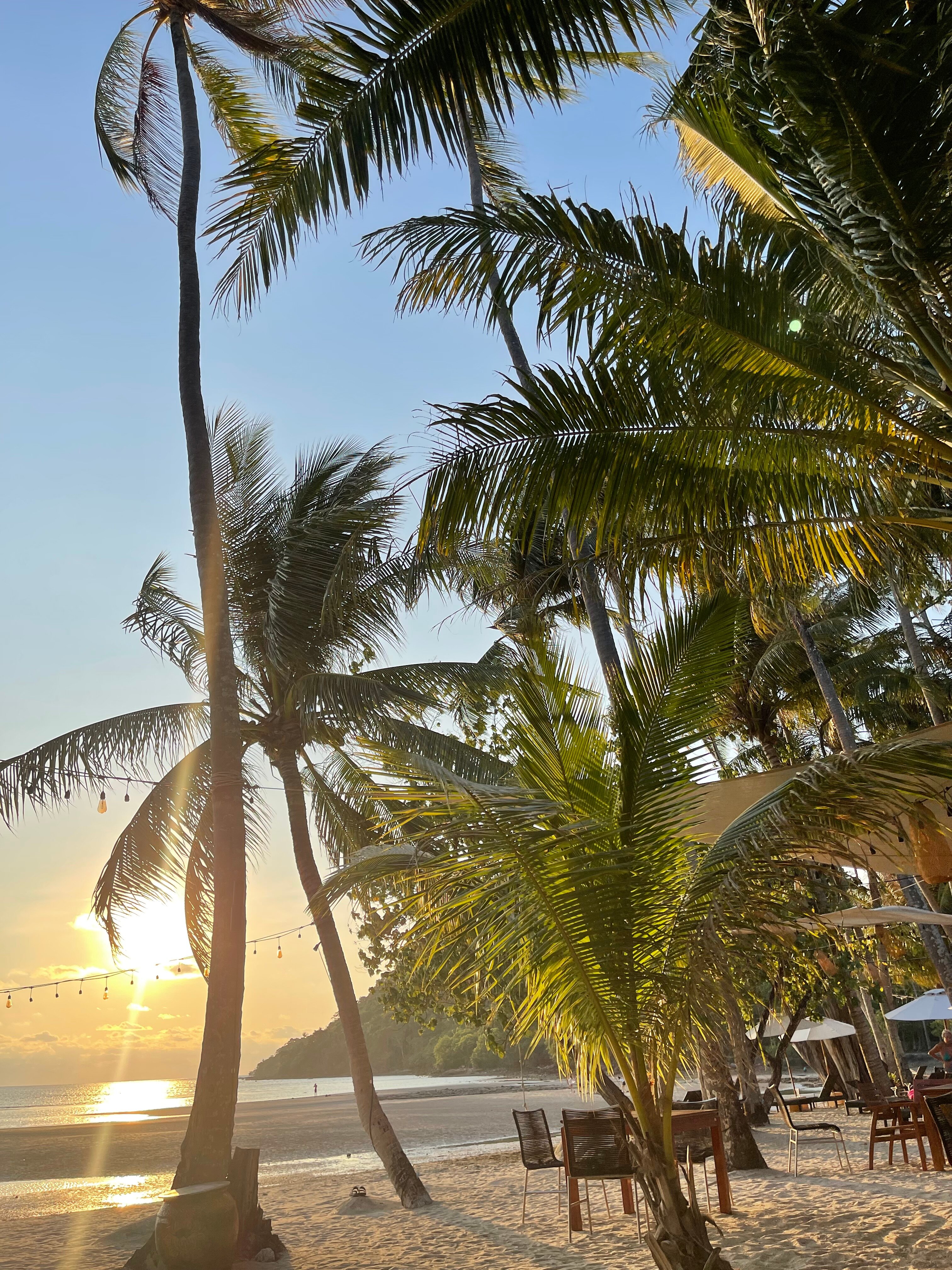 Фото Marina Sands Resort