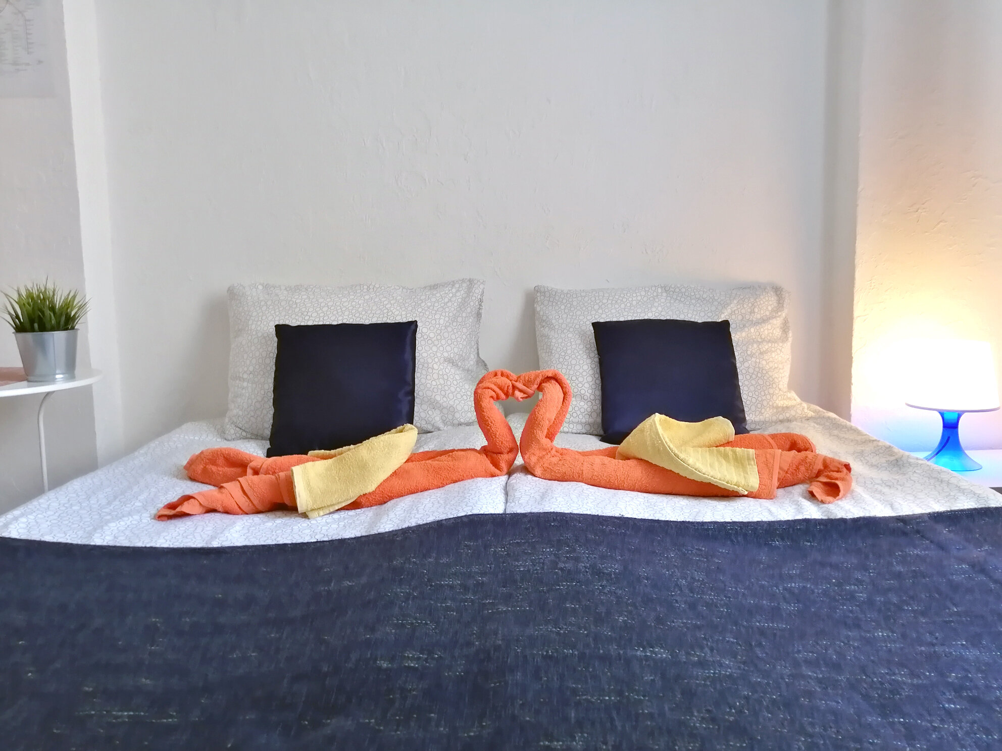 Фото Апартаменты Wow