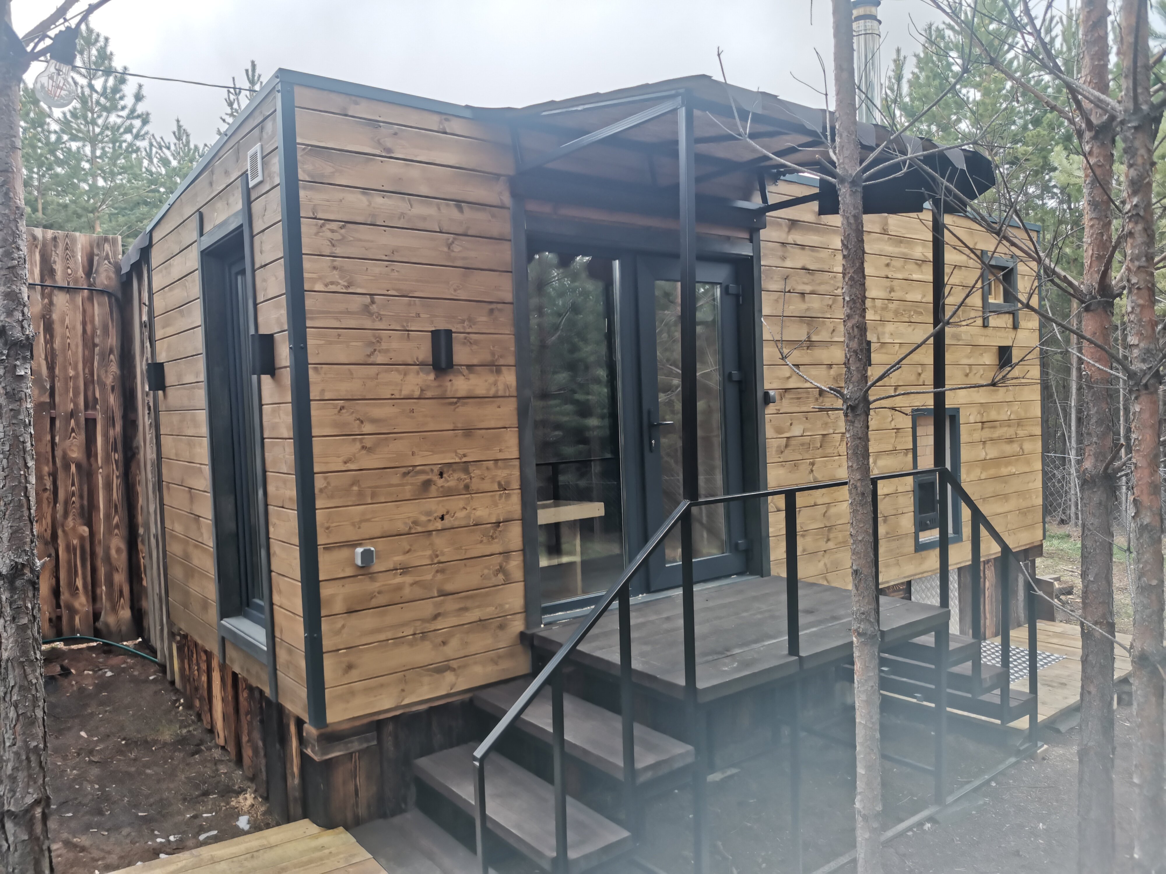 Фото Два Лося