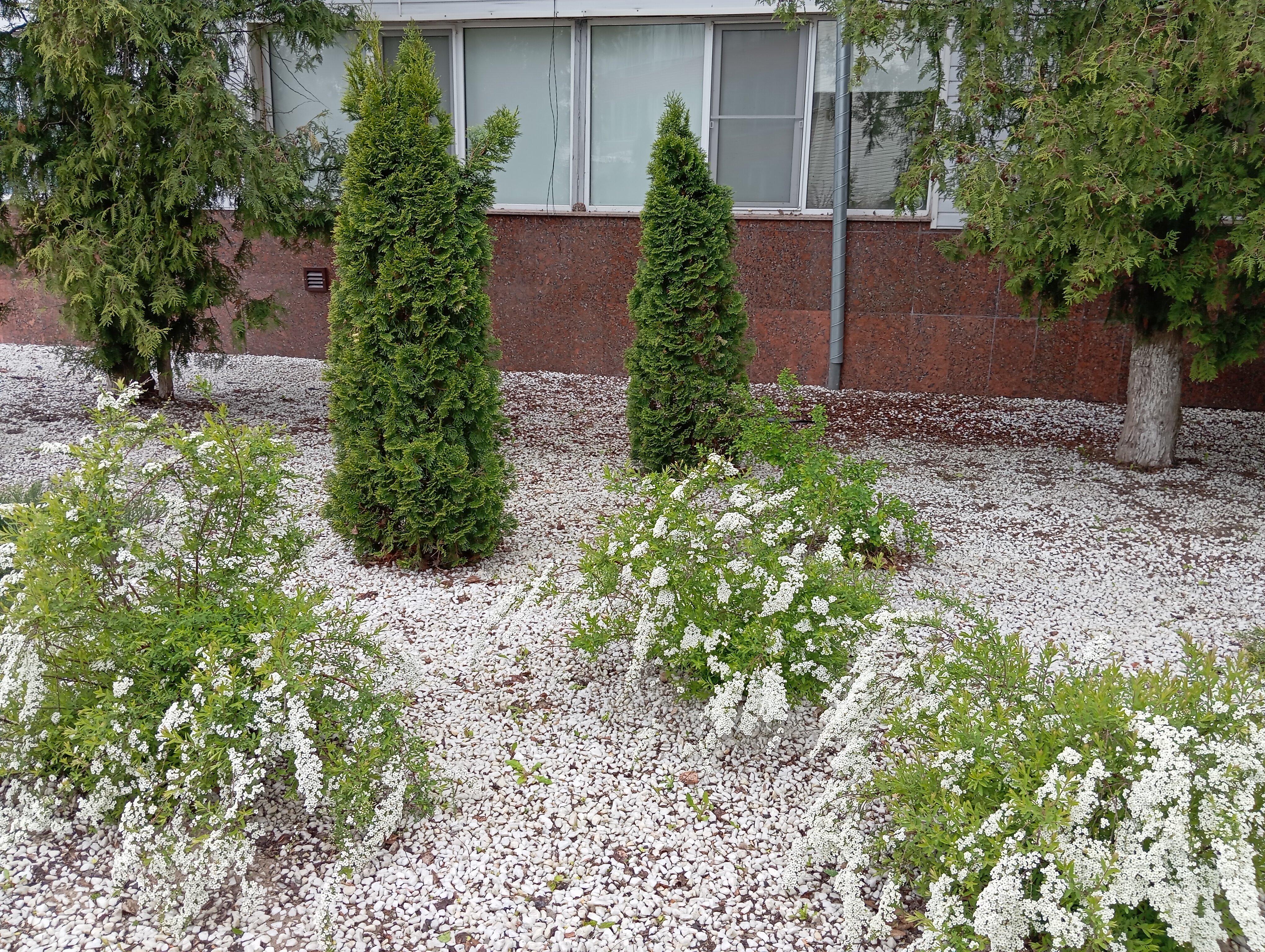 Фото Ливадия-Татарстан