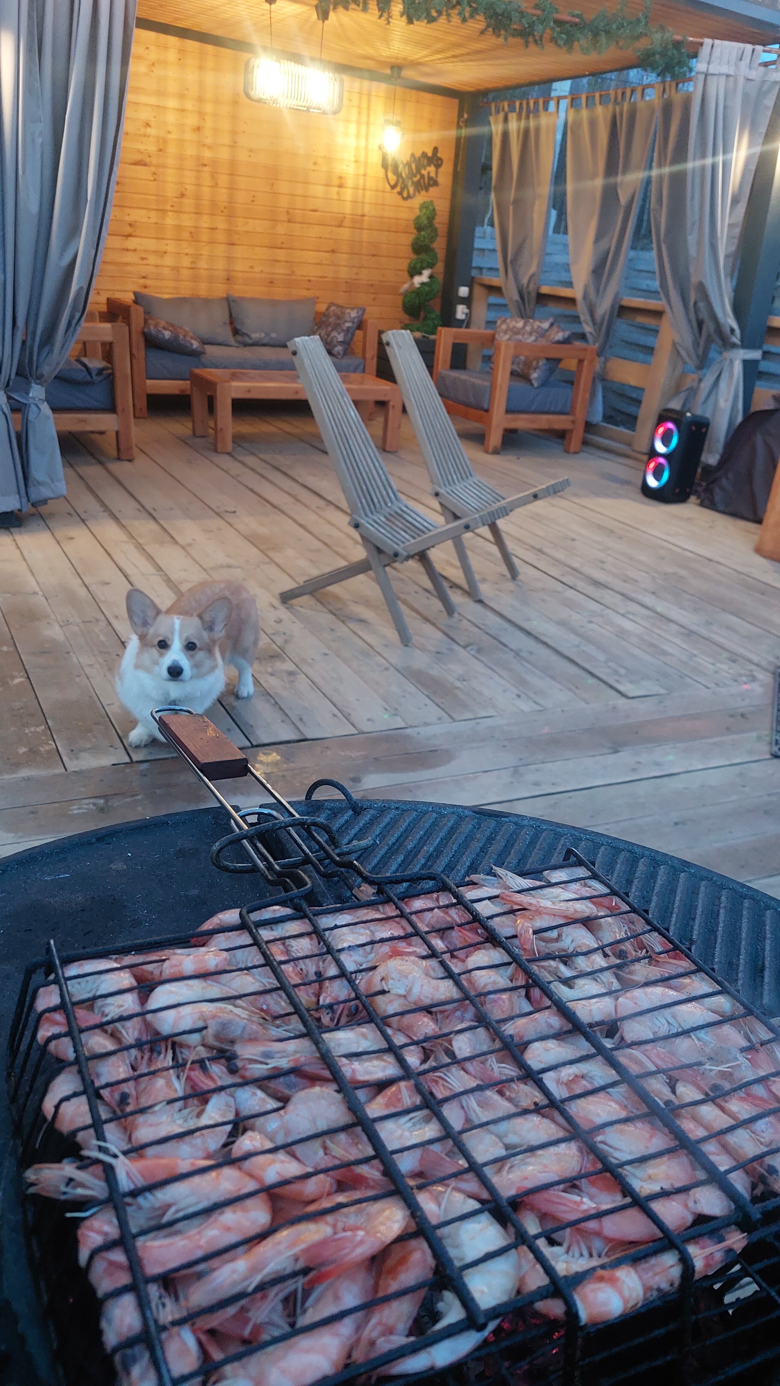 Фото Viva la villa