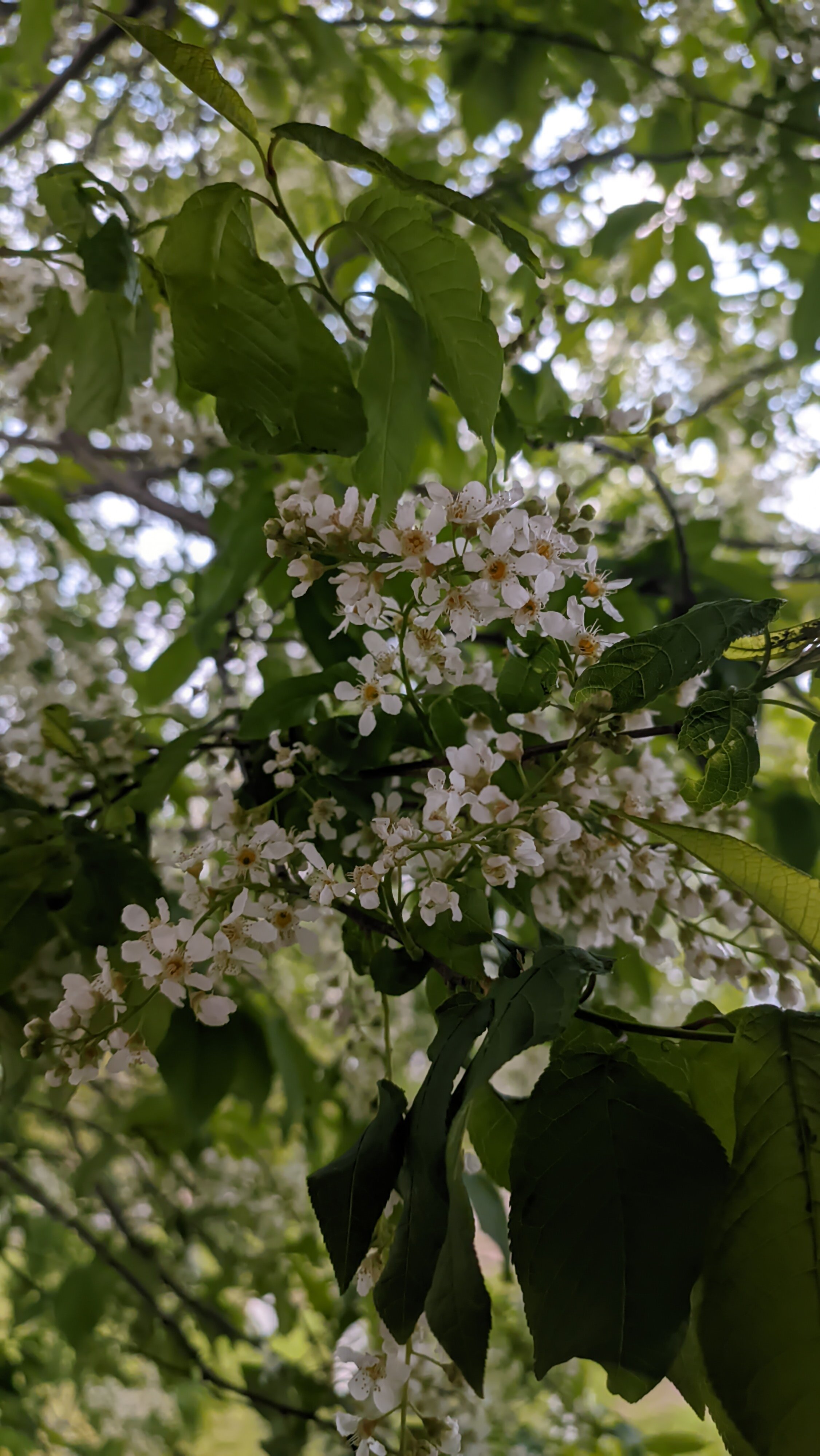 Фото Изба Агафоновых