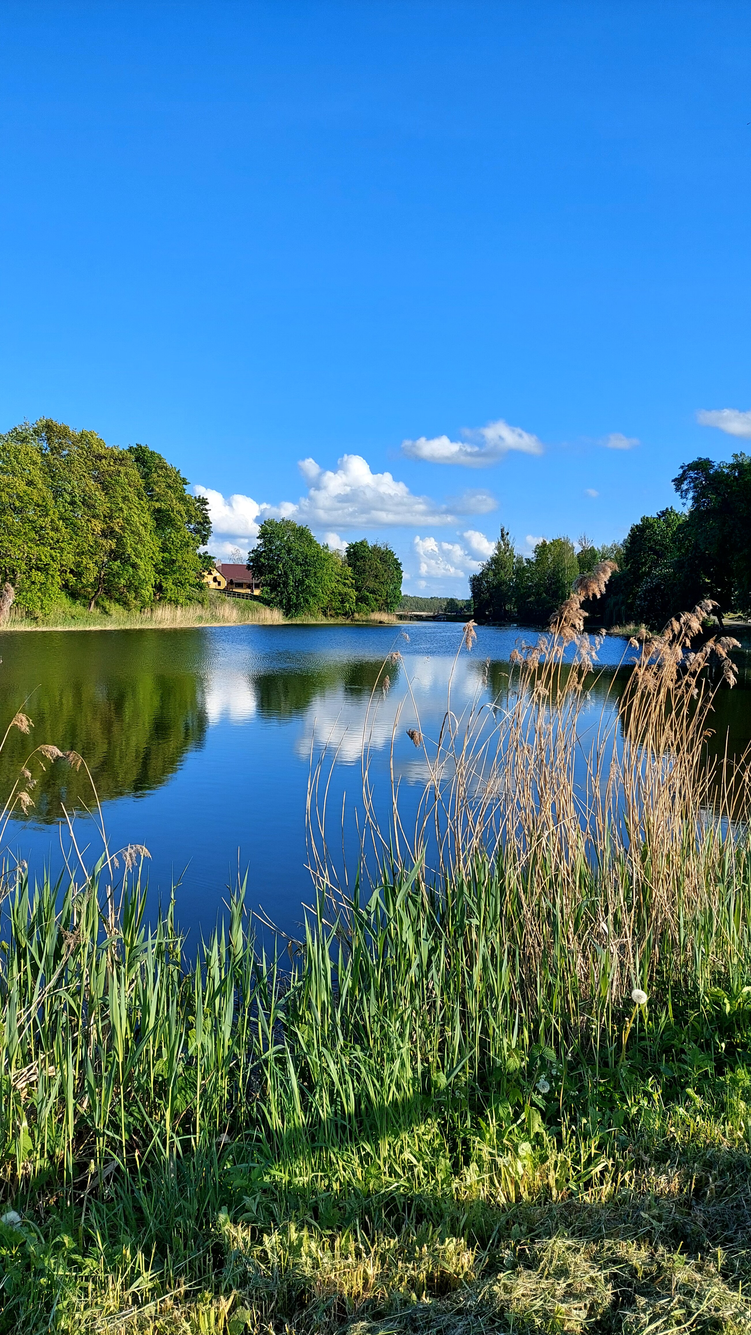 Фото Гостиница Багратионовск