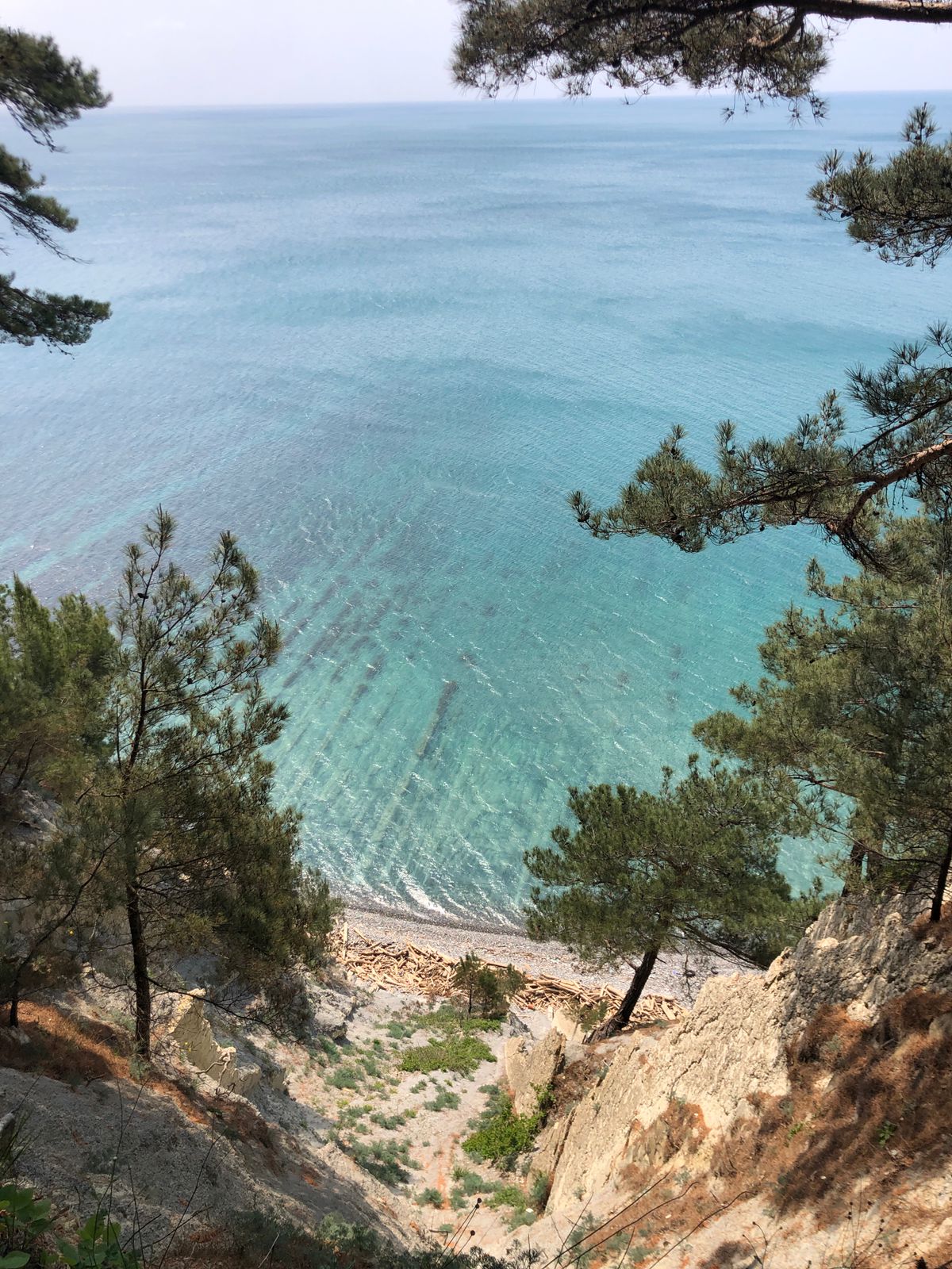 Фото Аммонит