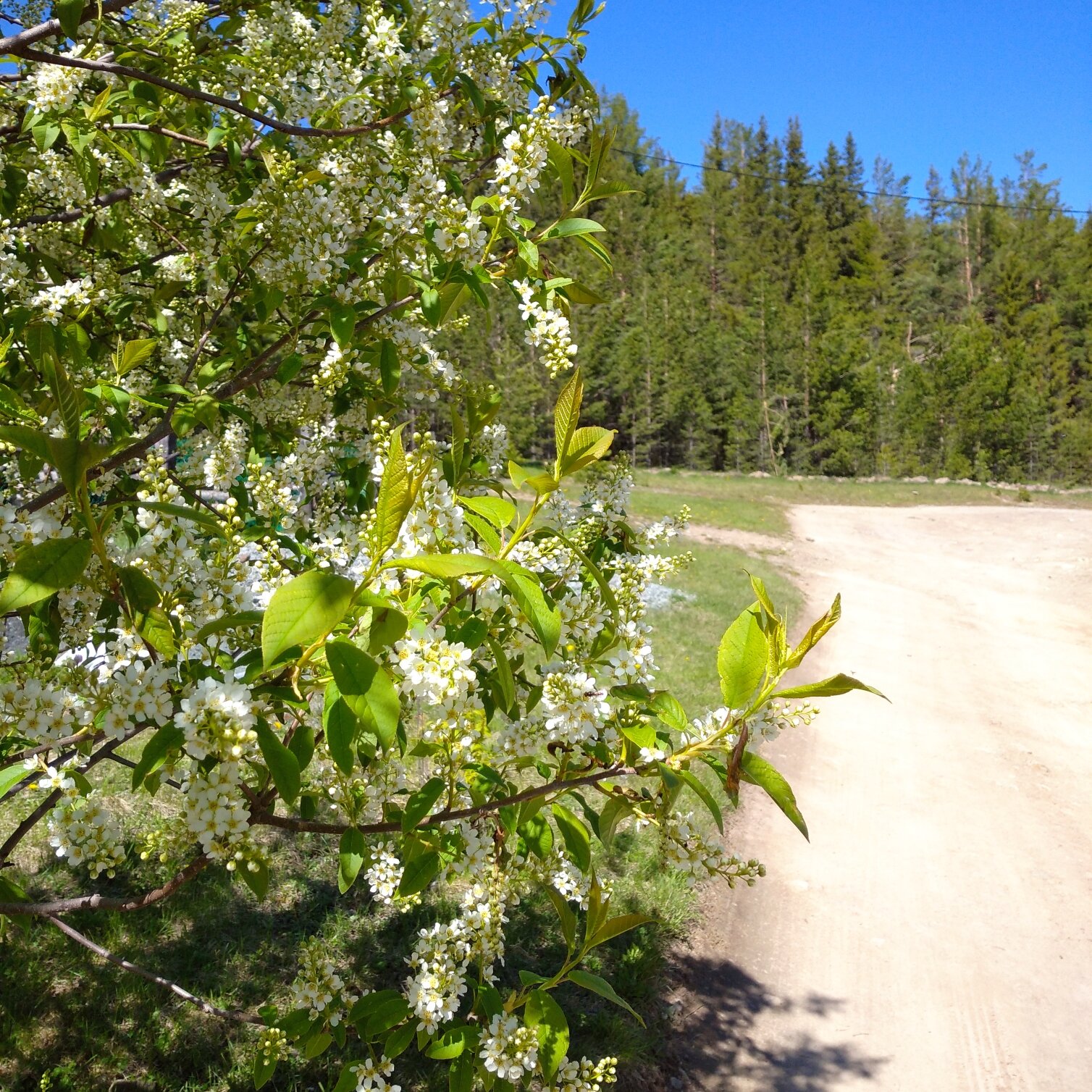 Фото На Горушке