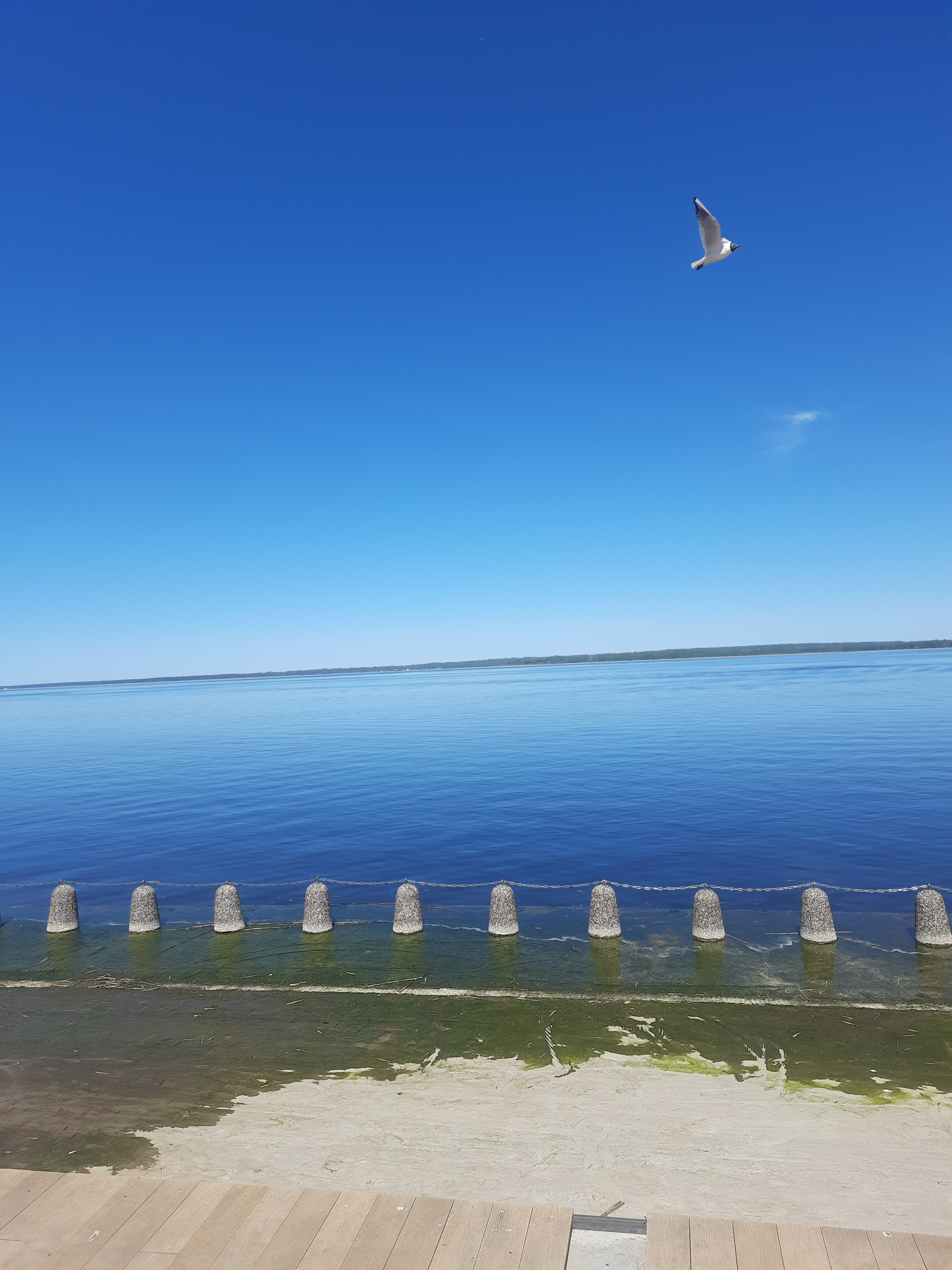 Фото Селигер 69