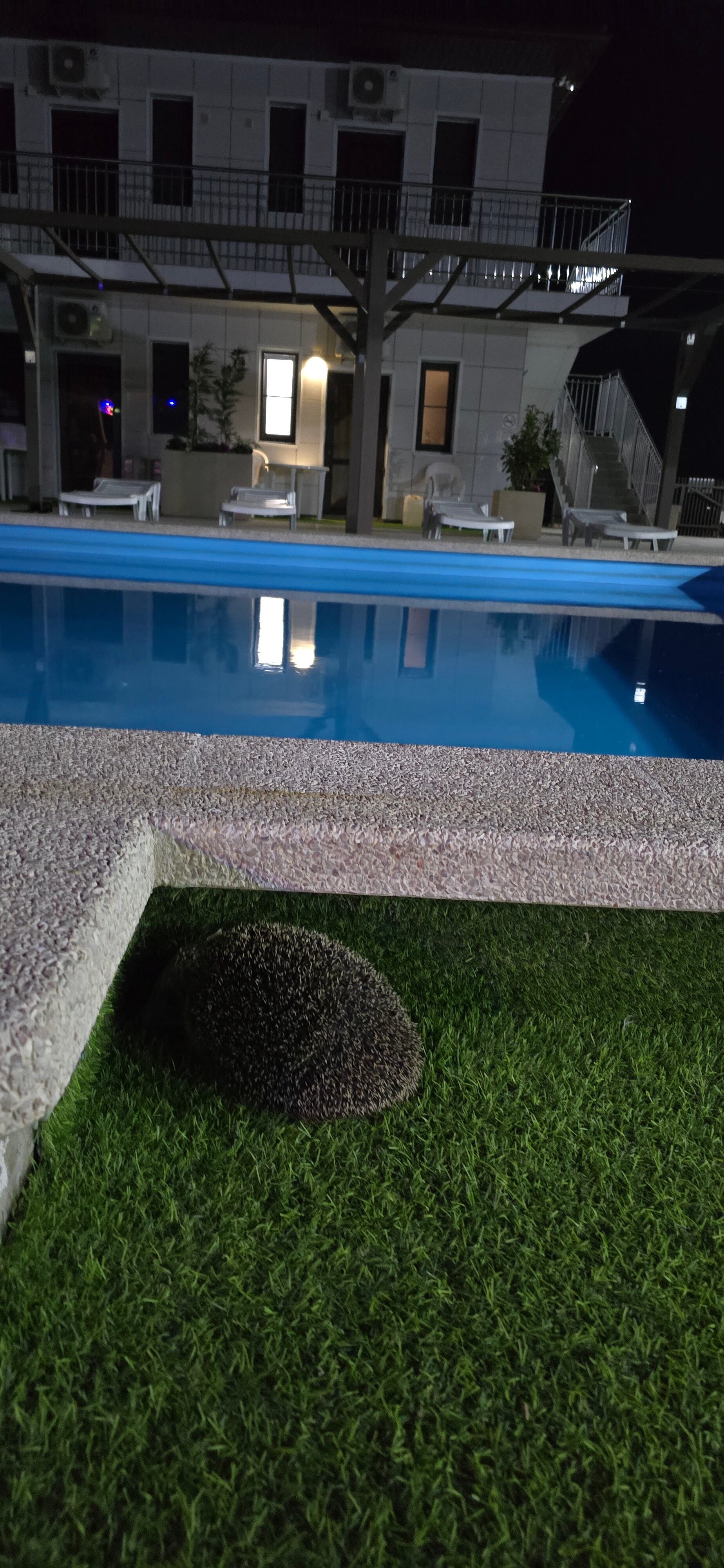 Фото Солнечный пляж