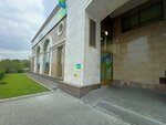 СберСтрахование (Michurinsky Avenue, 3), compañía de seguros