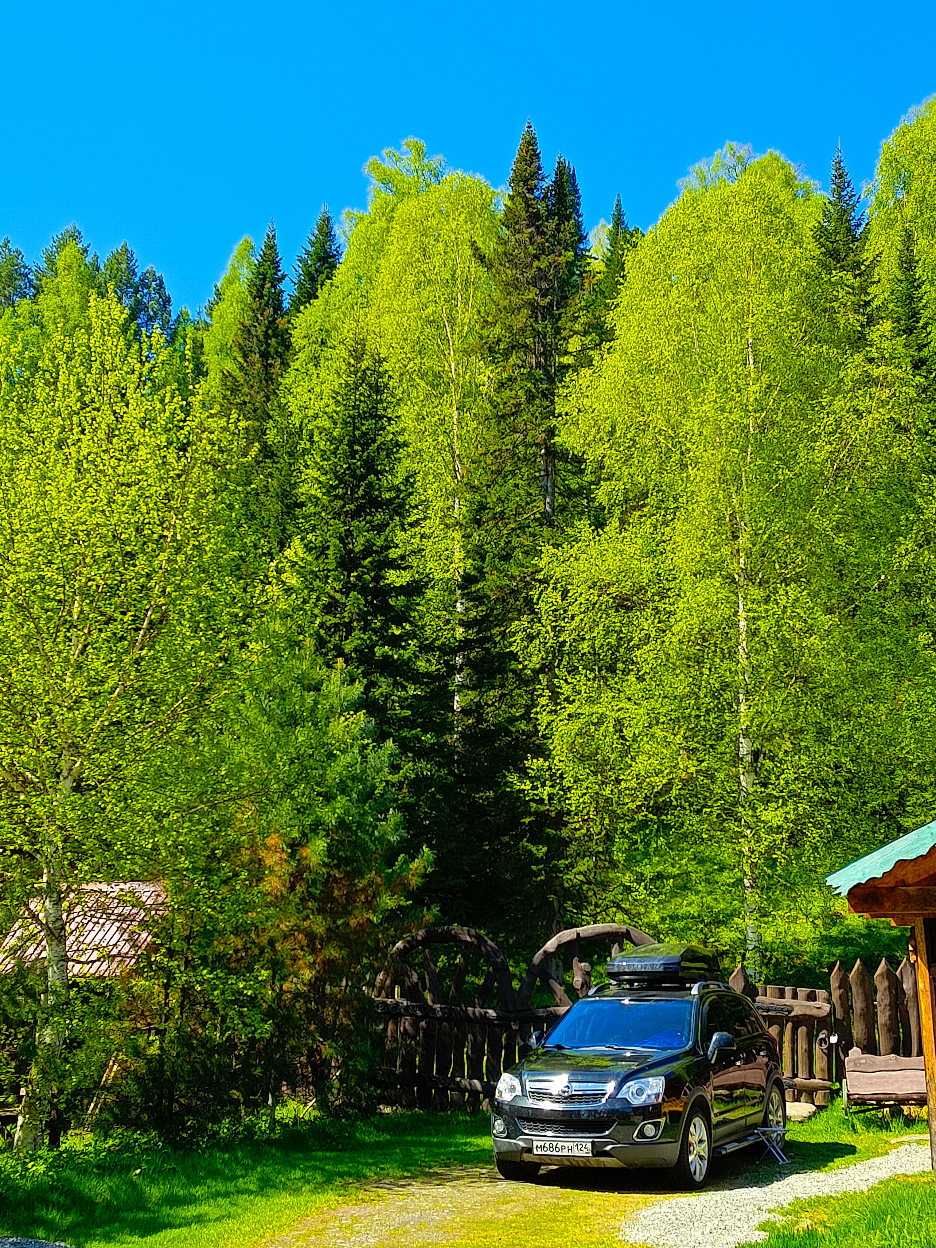 Фото Усадьба Лебедь