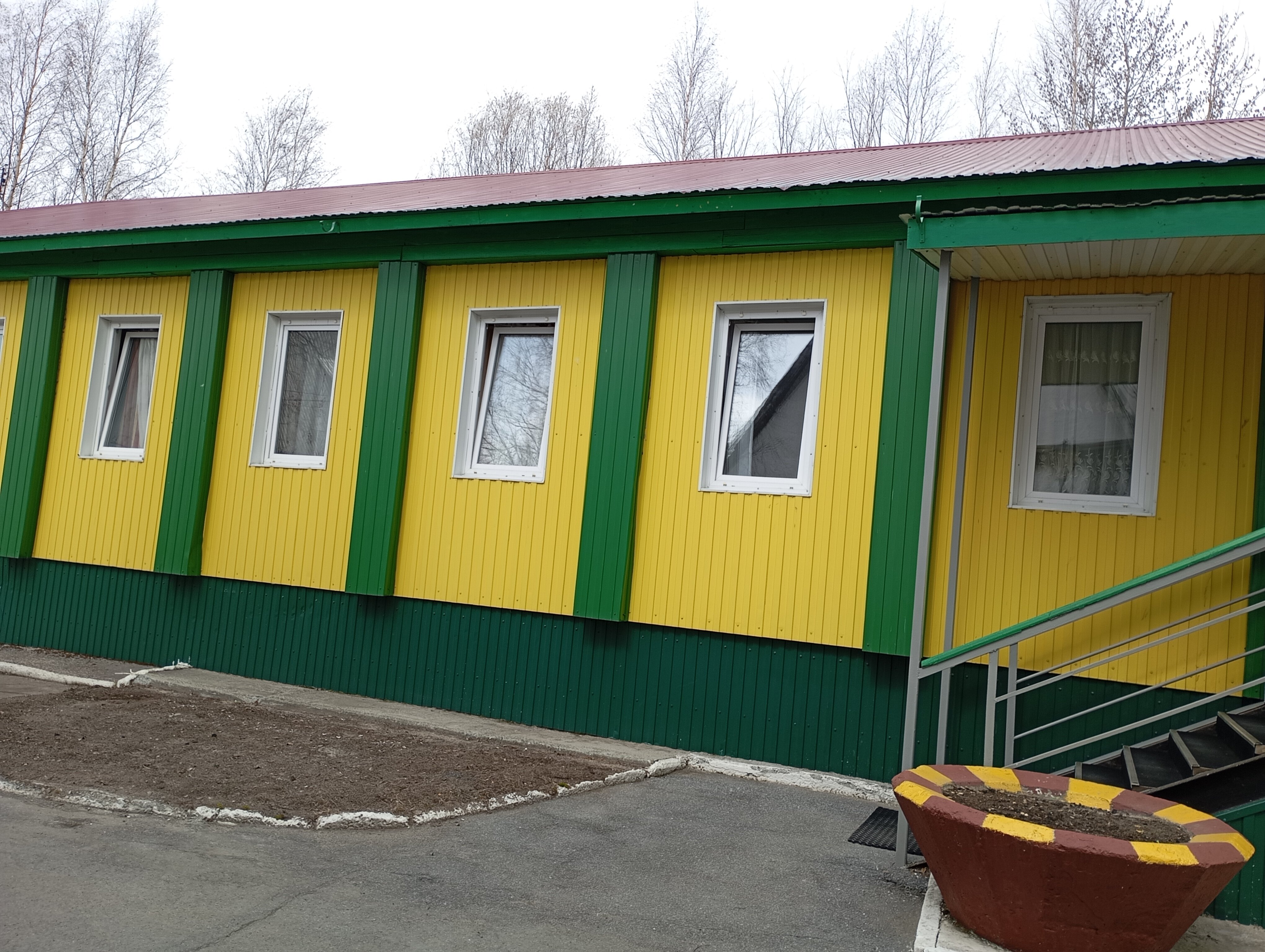 Фото Березка