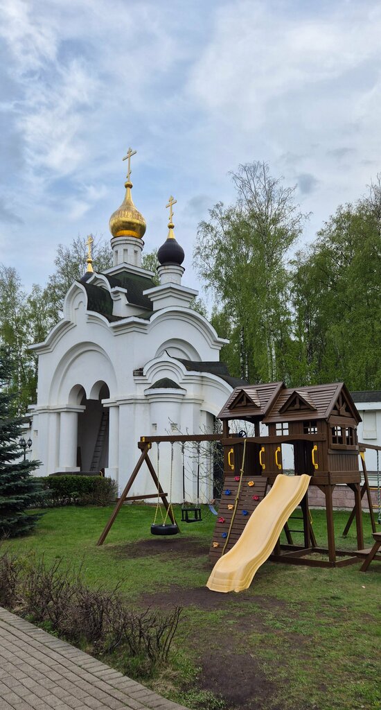 Православный храм Церковь Александра Невского, Москва и Московская область, фото