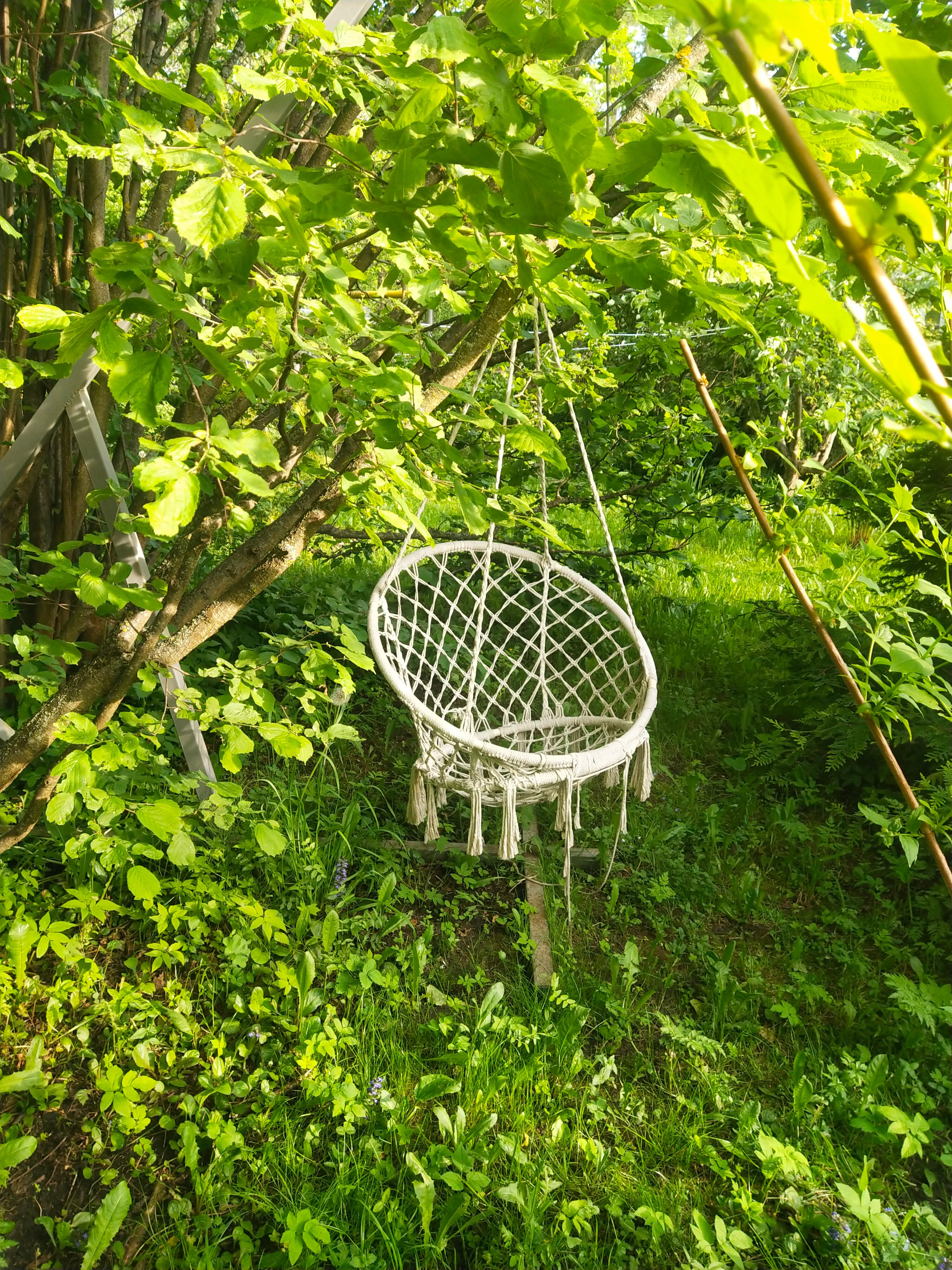 Фото Дом на дереве