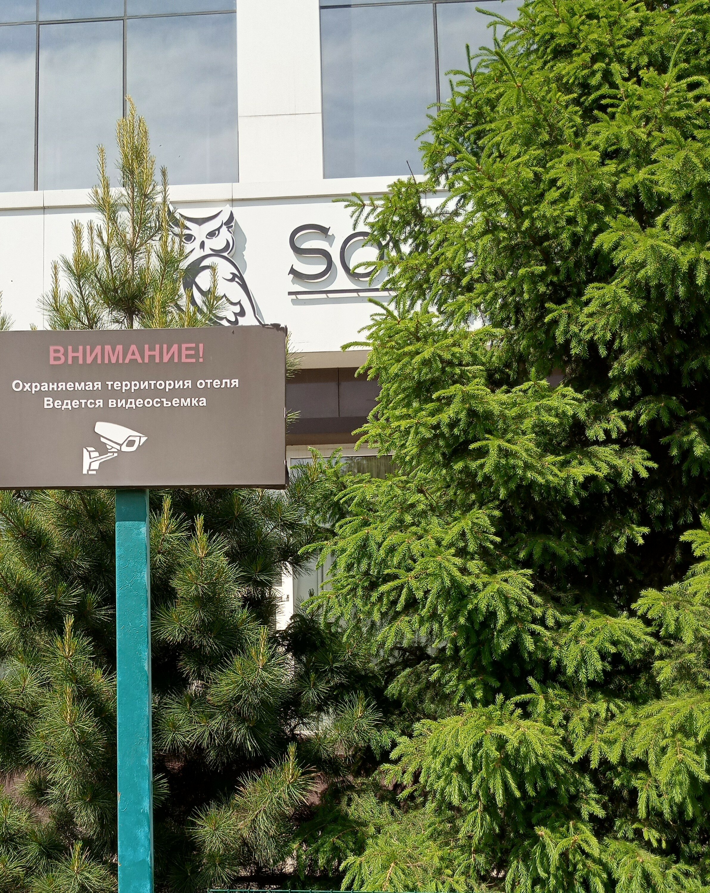 Фото Снежная сова