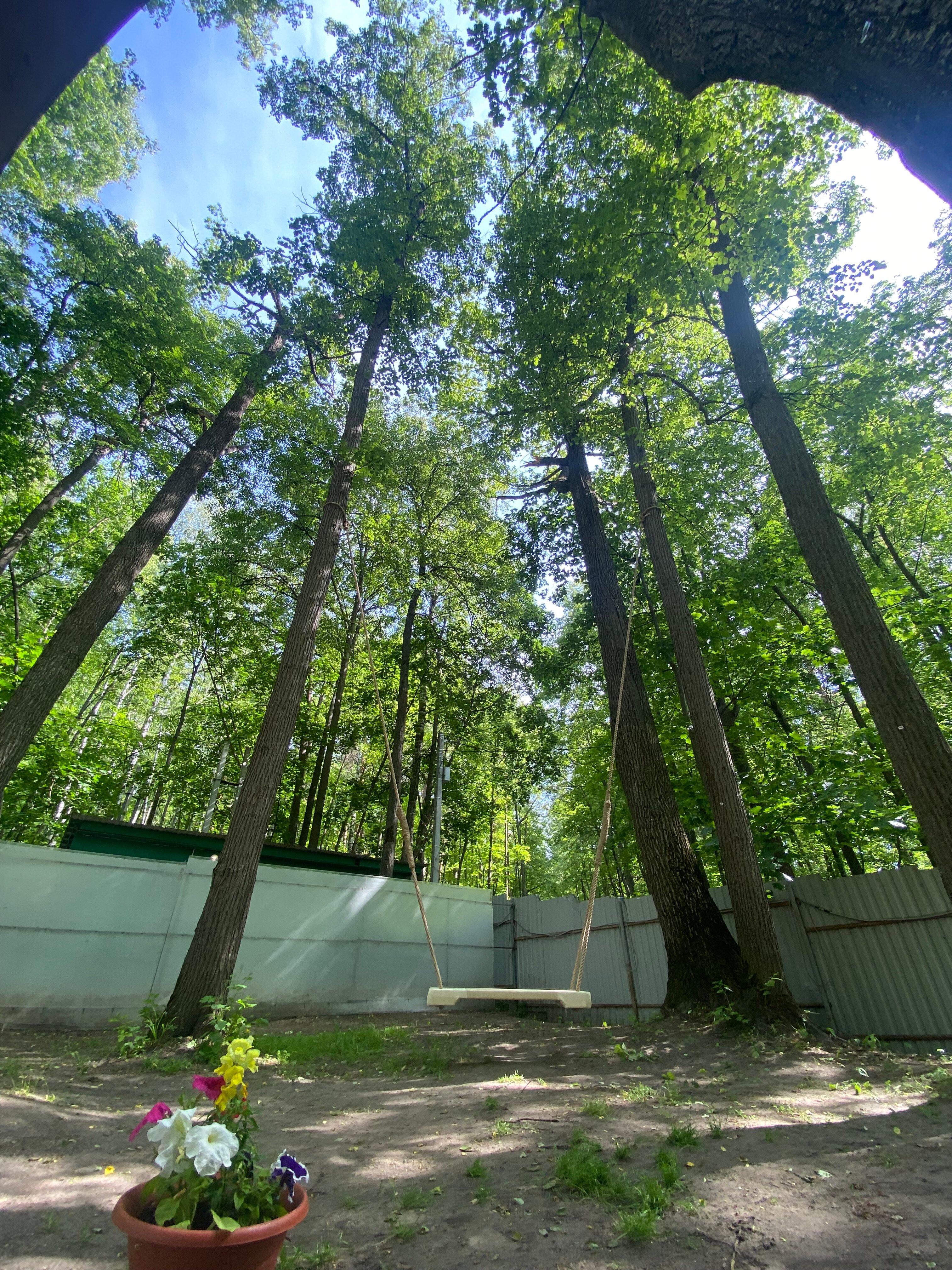 Фото Монте-Карло