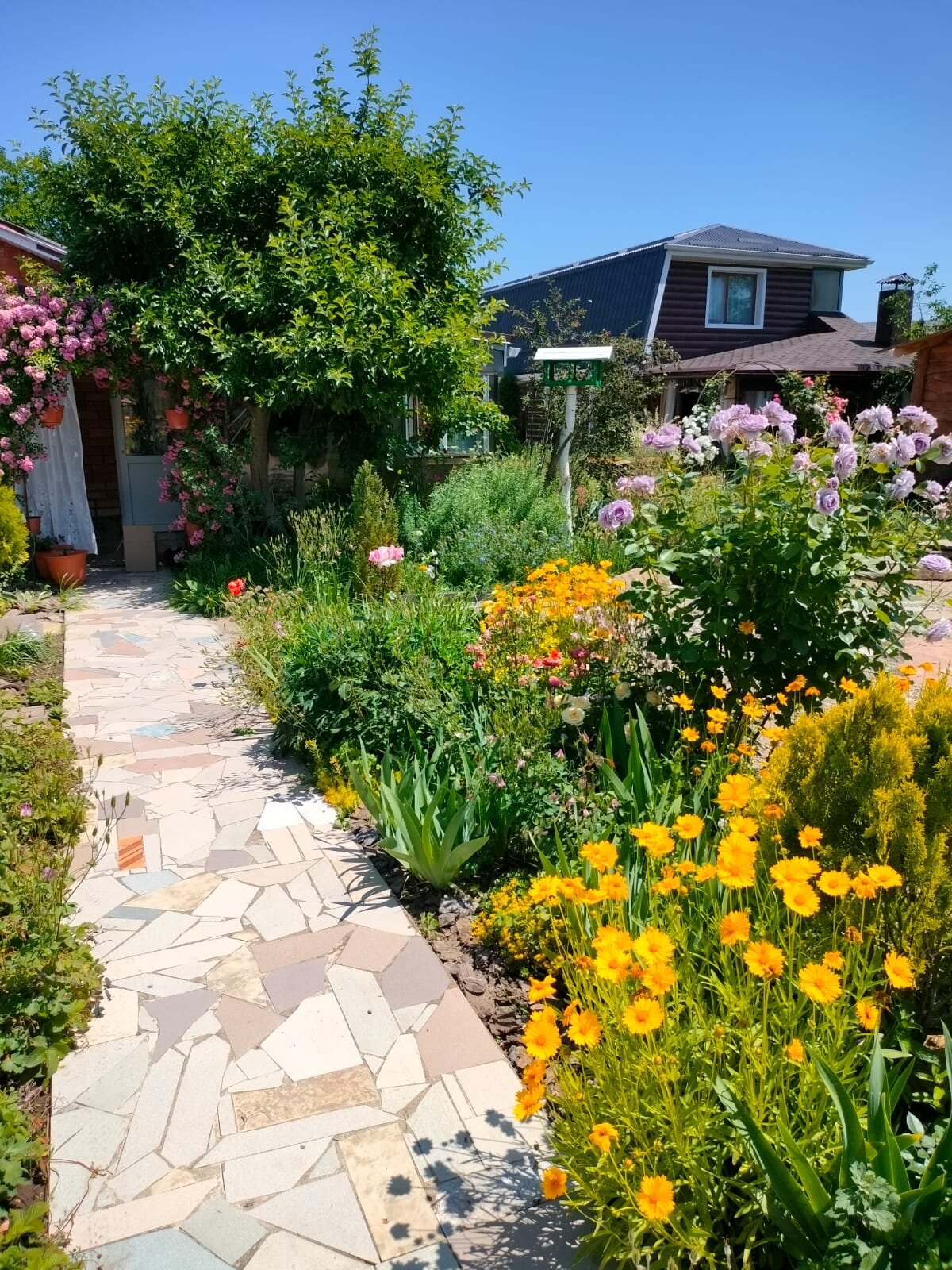 Фото Горный родник