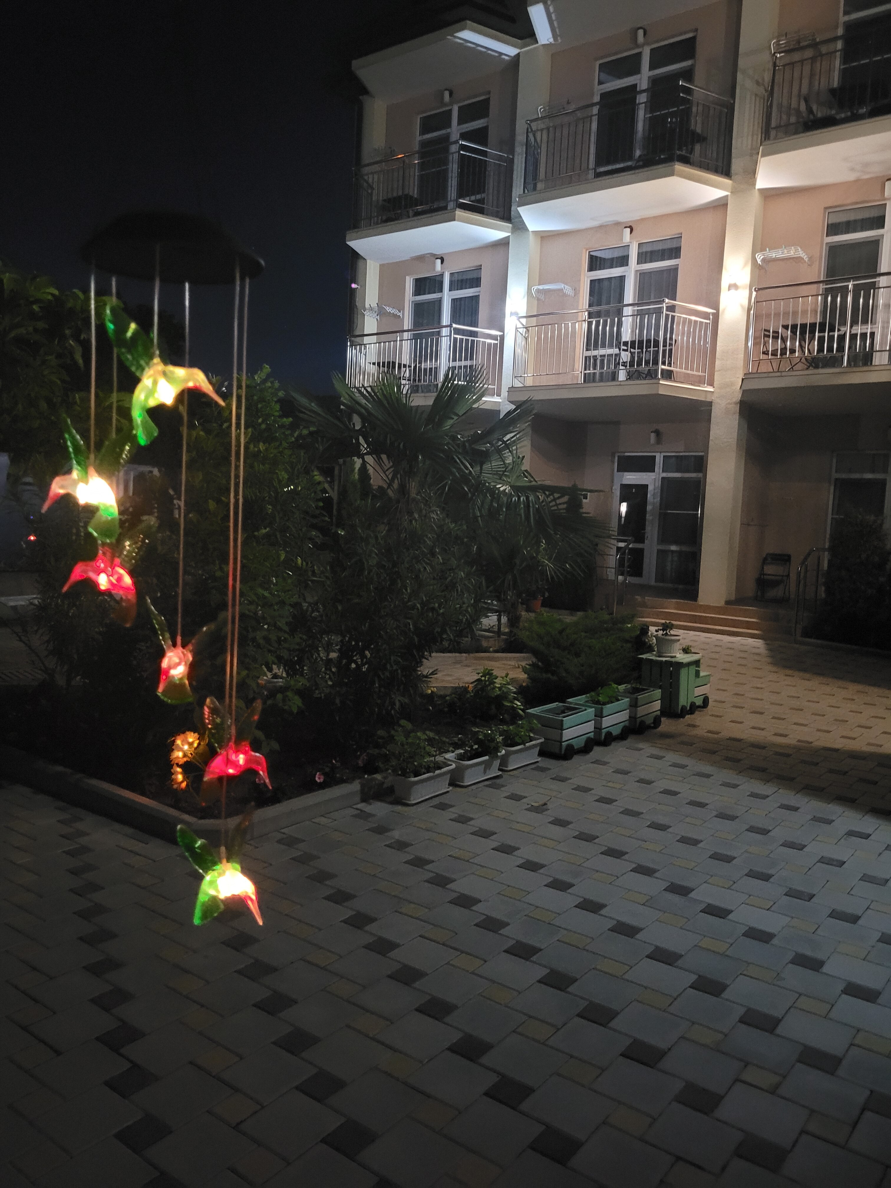 Фото Колибри