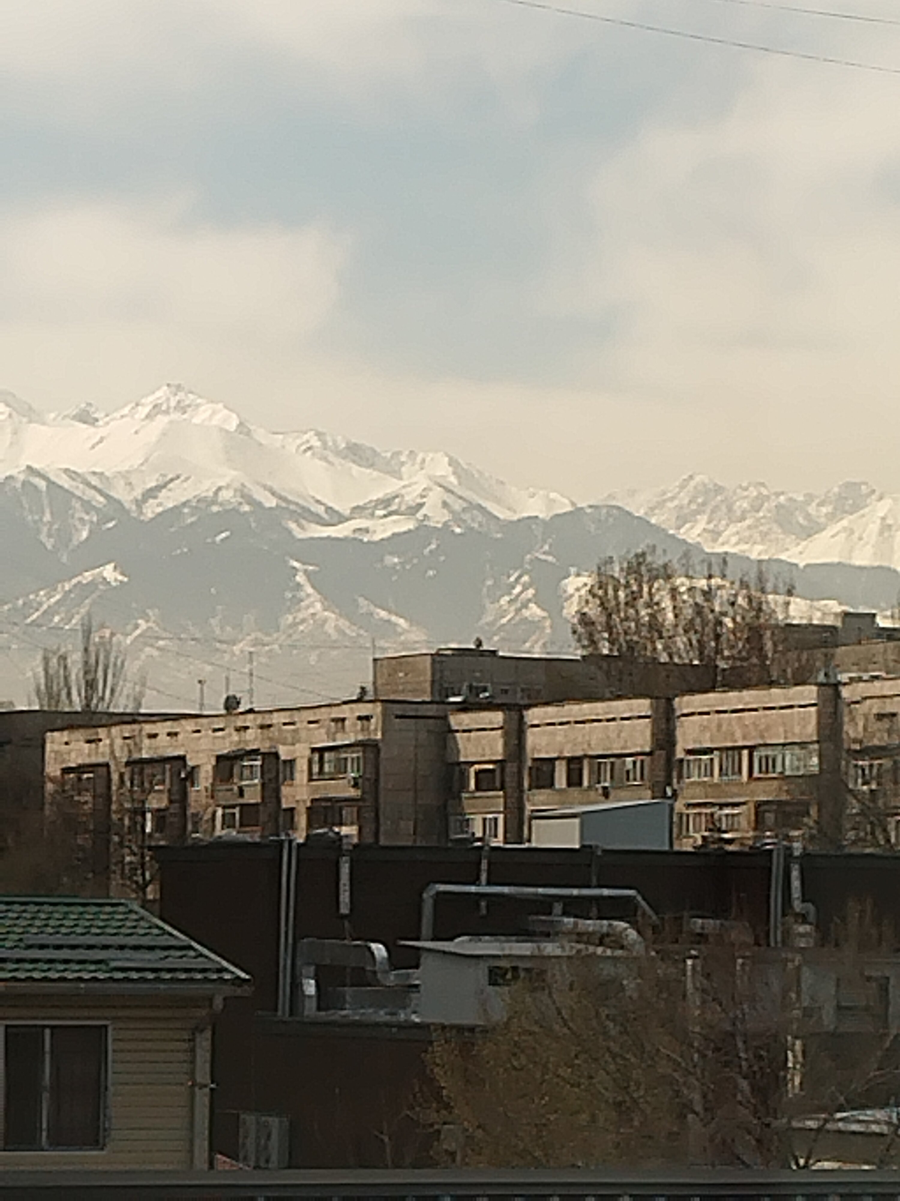 Фото Plaza Hotel